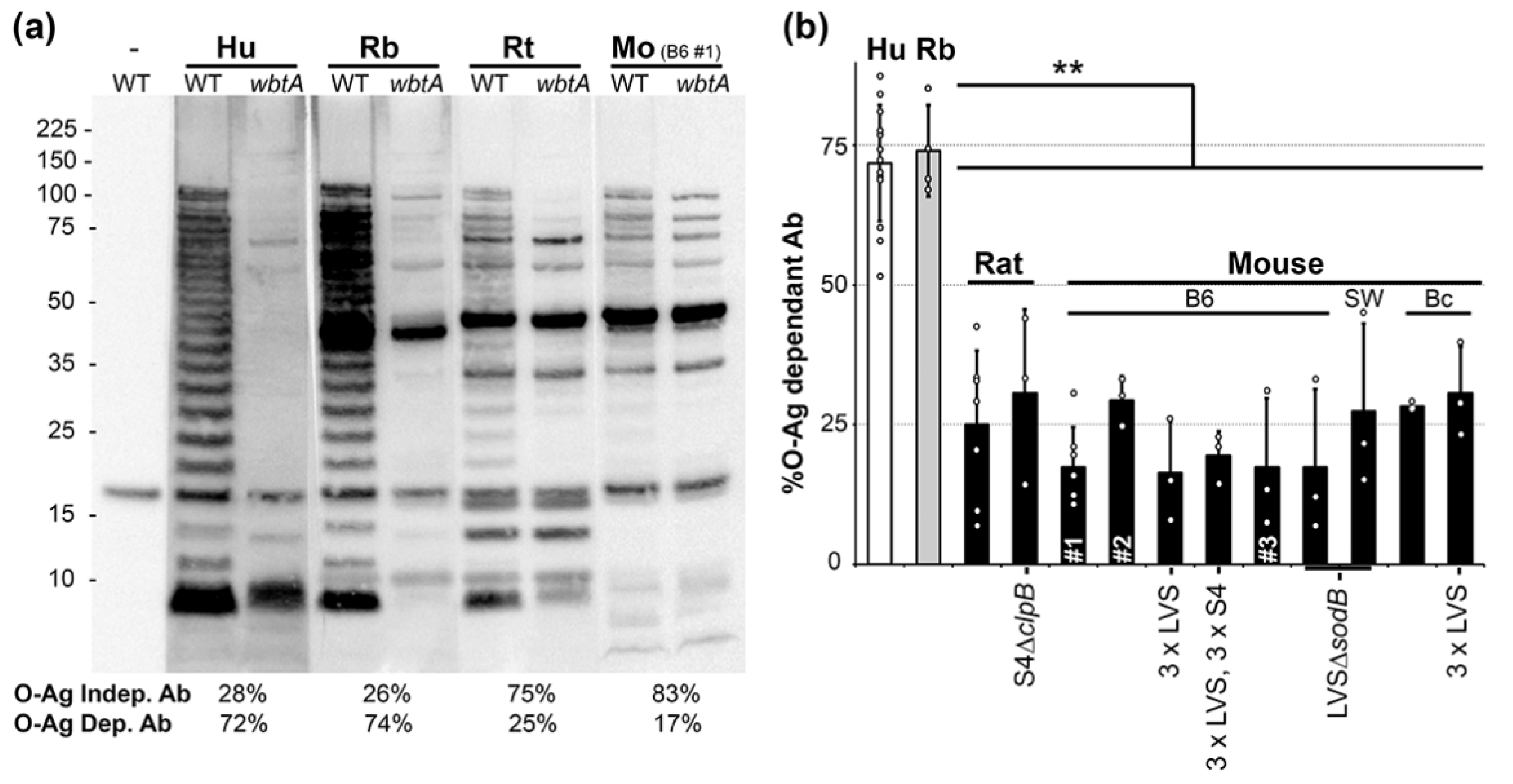 Pathogens 10 01646 g001