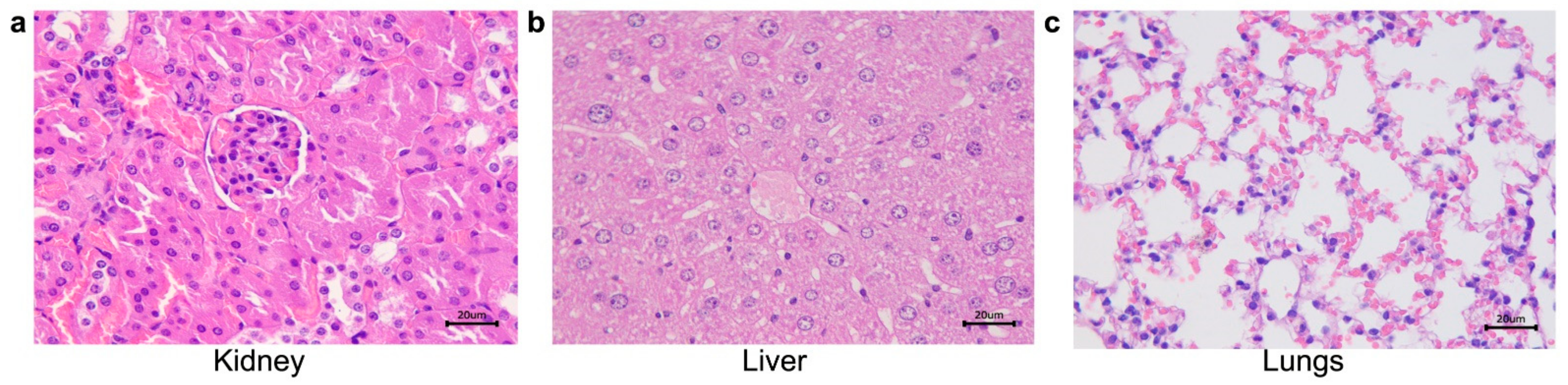 Pathogens 10 01647 g010