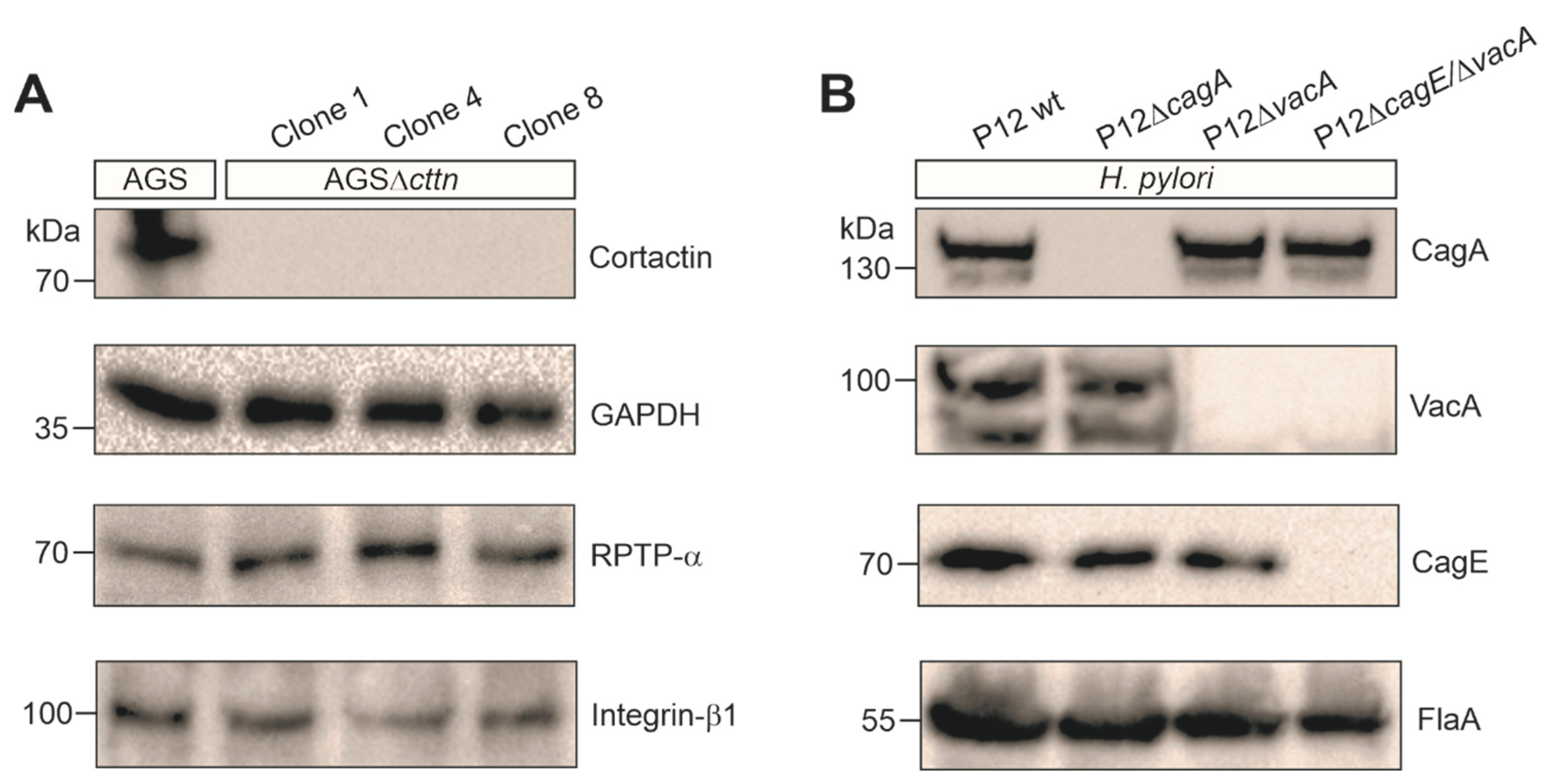Pathogens 11 00003 g001