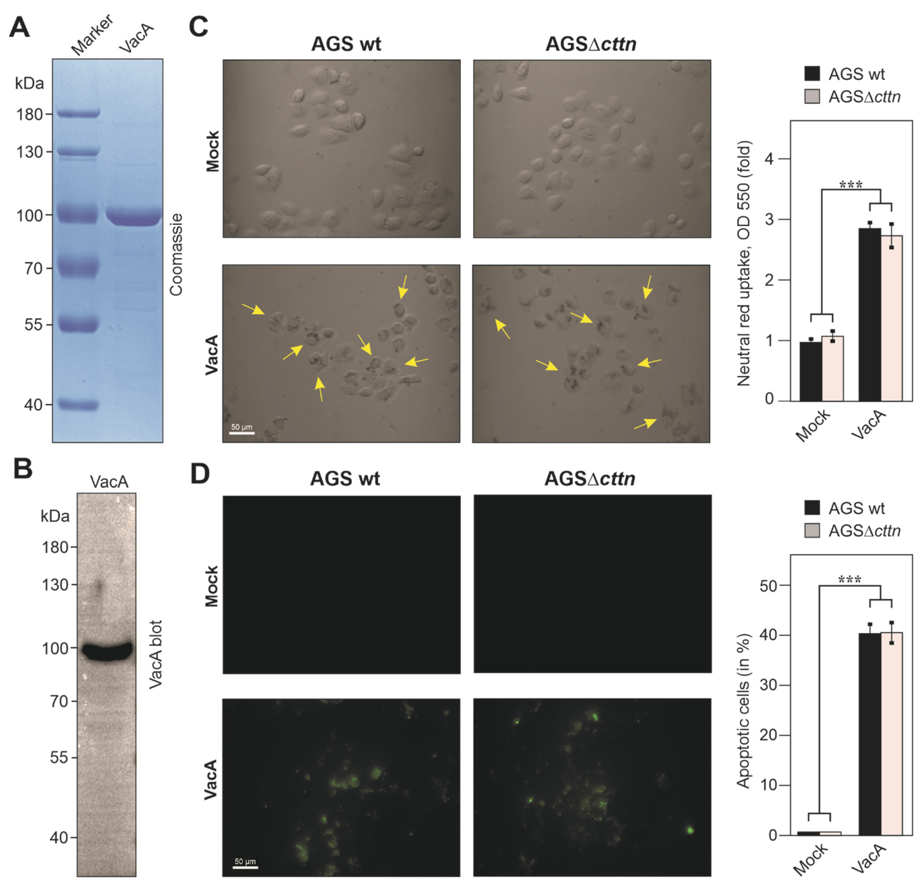 Pathogens 11 00003 g009
