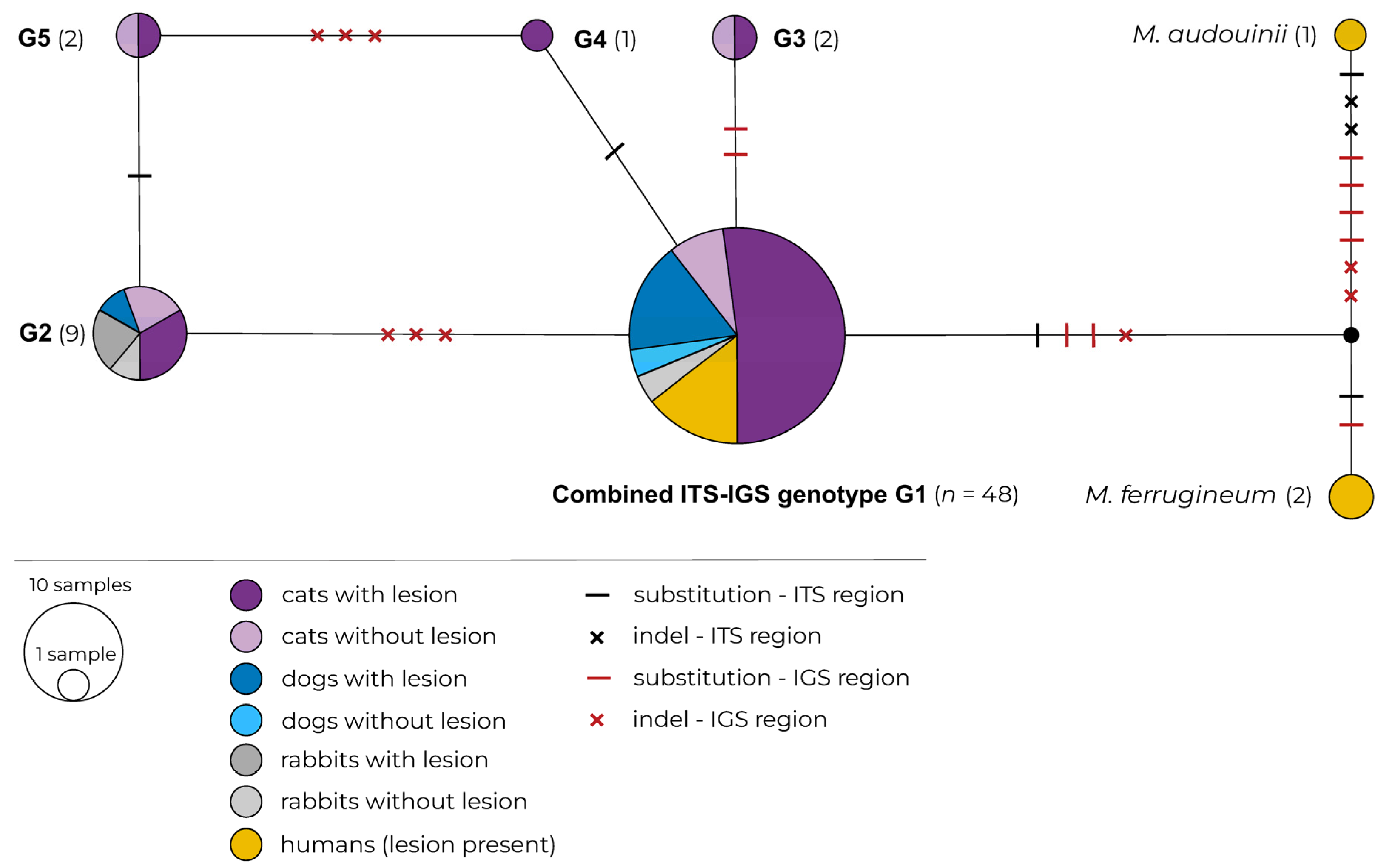 Pathogens 11 00004 g001 Pathogens 11 00004 g001