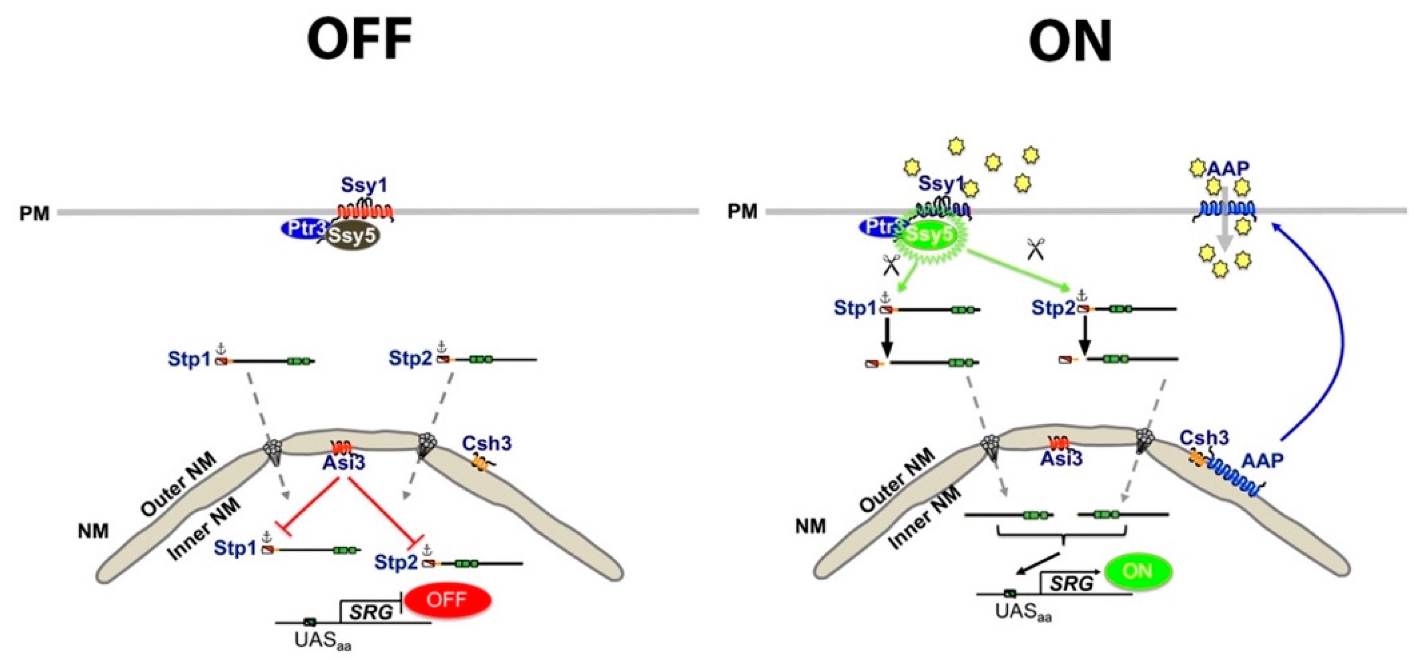 Pathogens 11 00005 g004 Pathogens 11 00005 g004