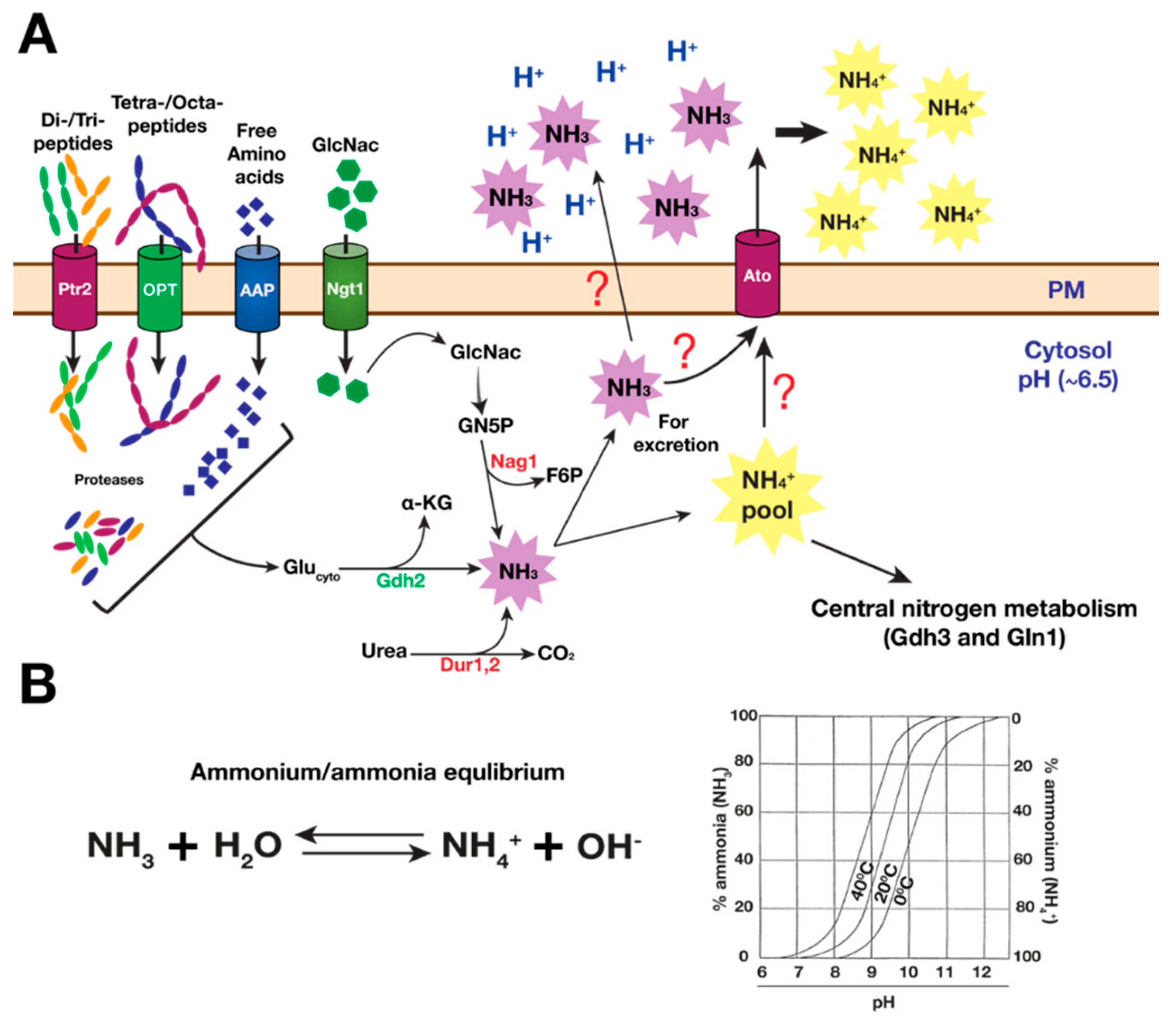 Pathogens 11 00005 g006 Pathogens 11 00005 g006