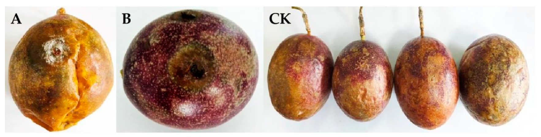 Pathogens 11 00006 g002