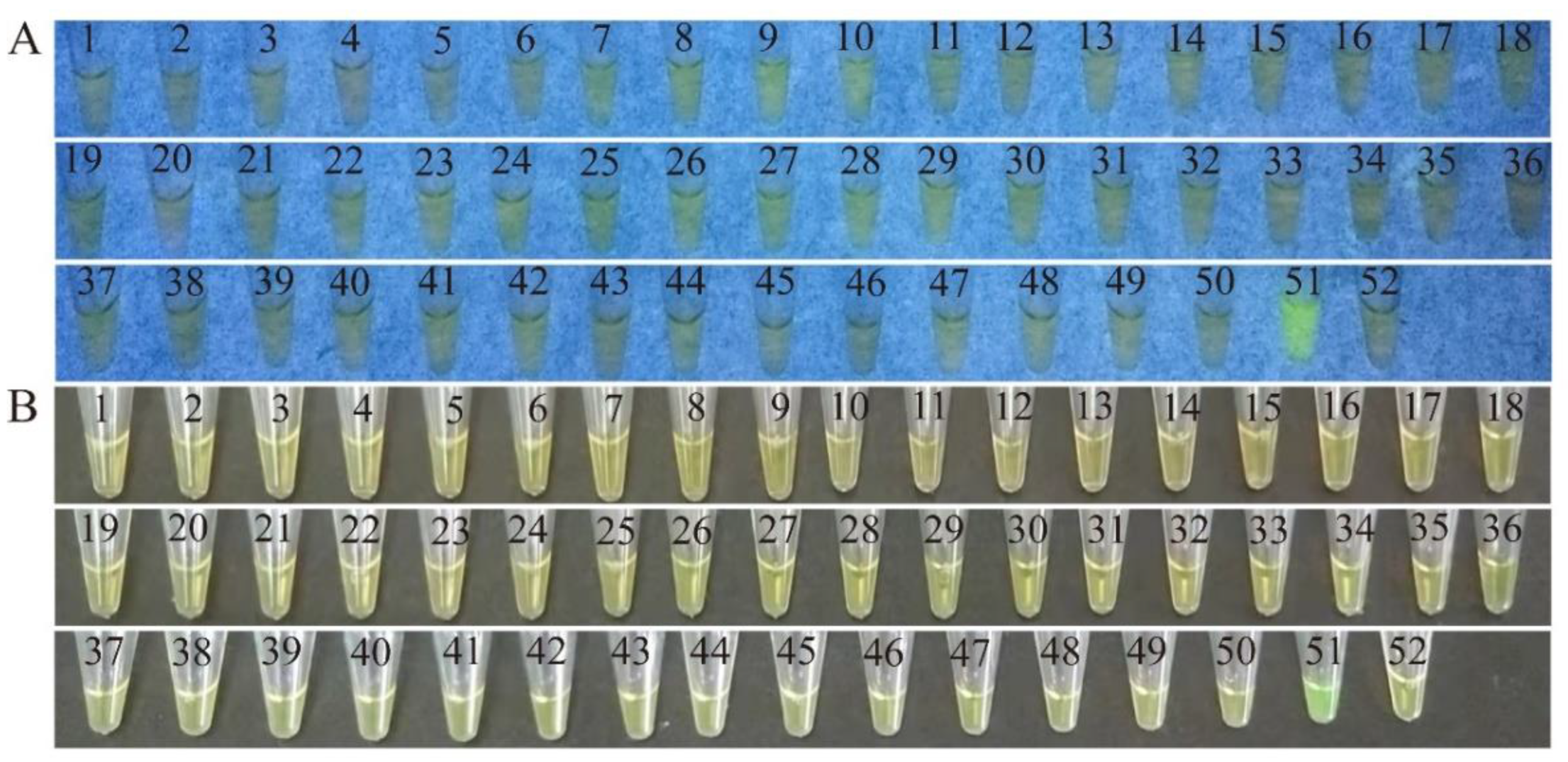 Pathogens 11 00010 g001