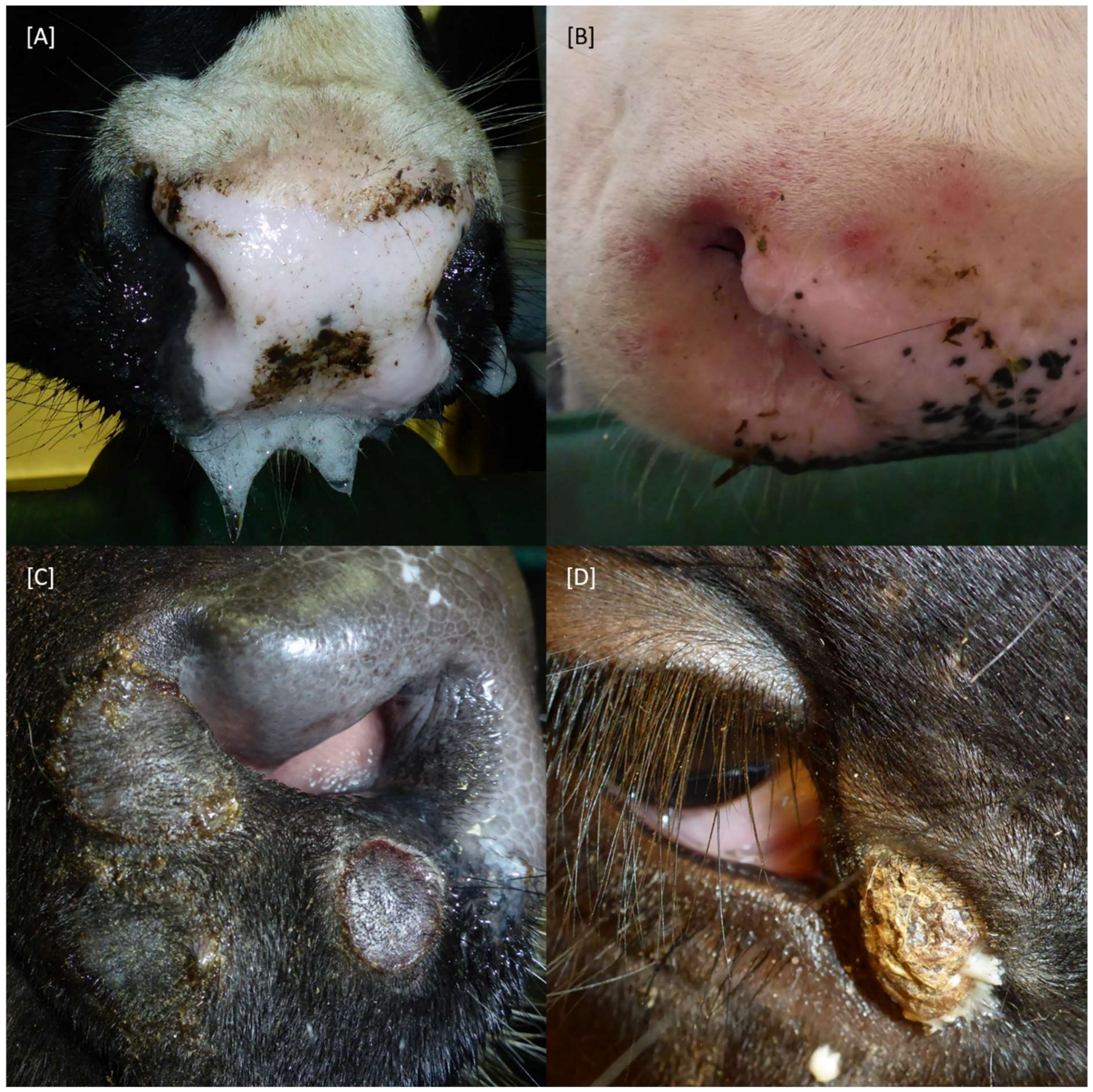 Pathogens 11 00016 g002