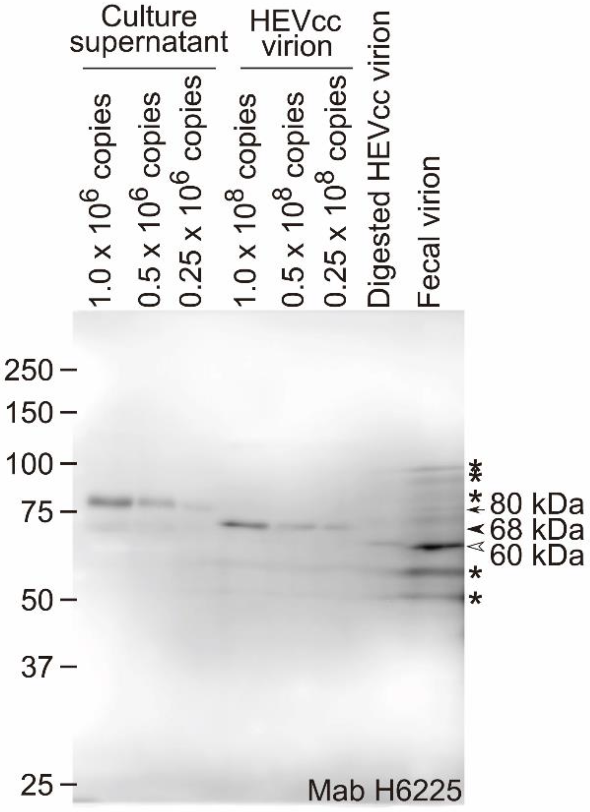 Pathogens 11 00024 g001 550