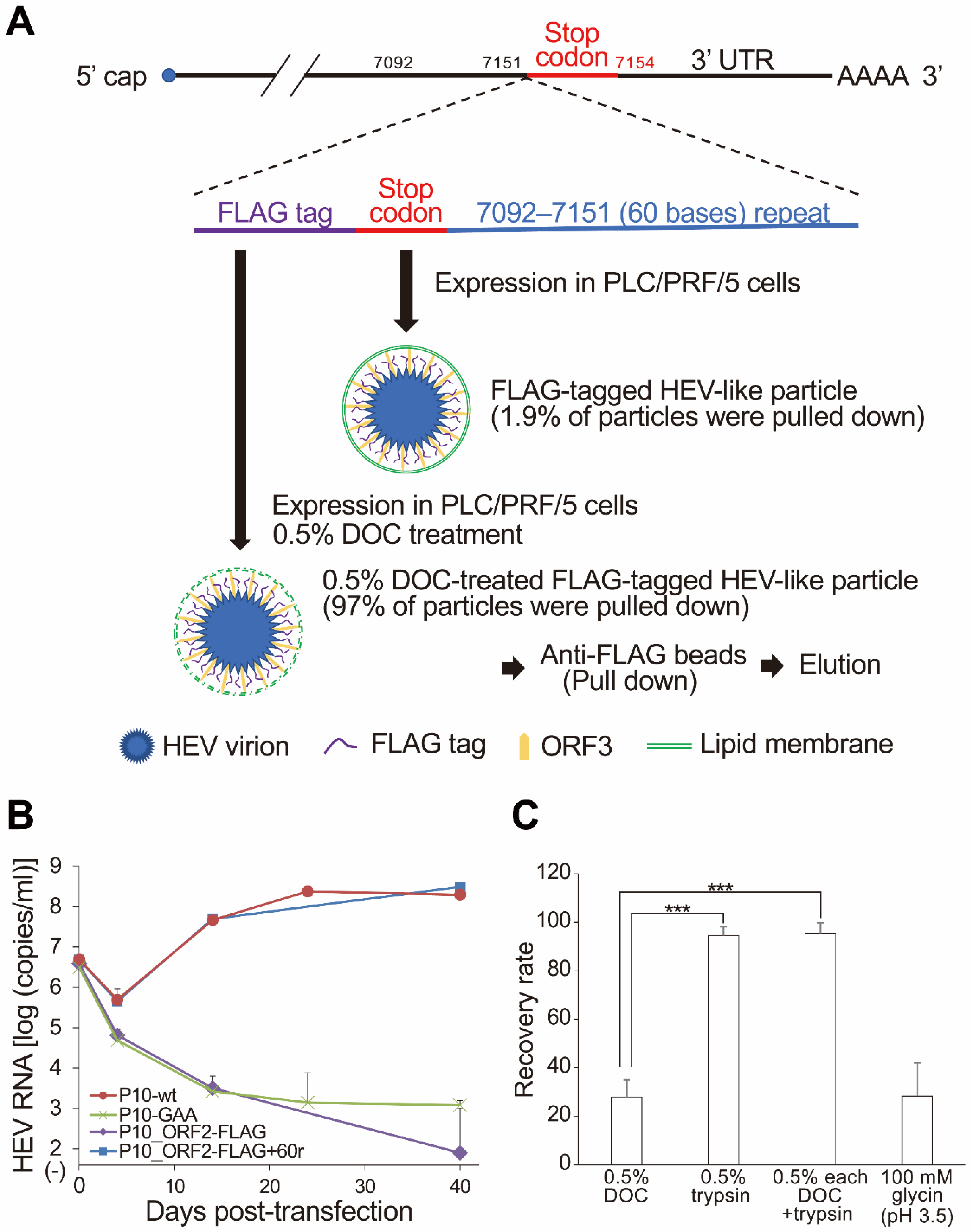 Pathogens 11 00024 g003 550
