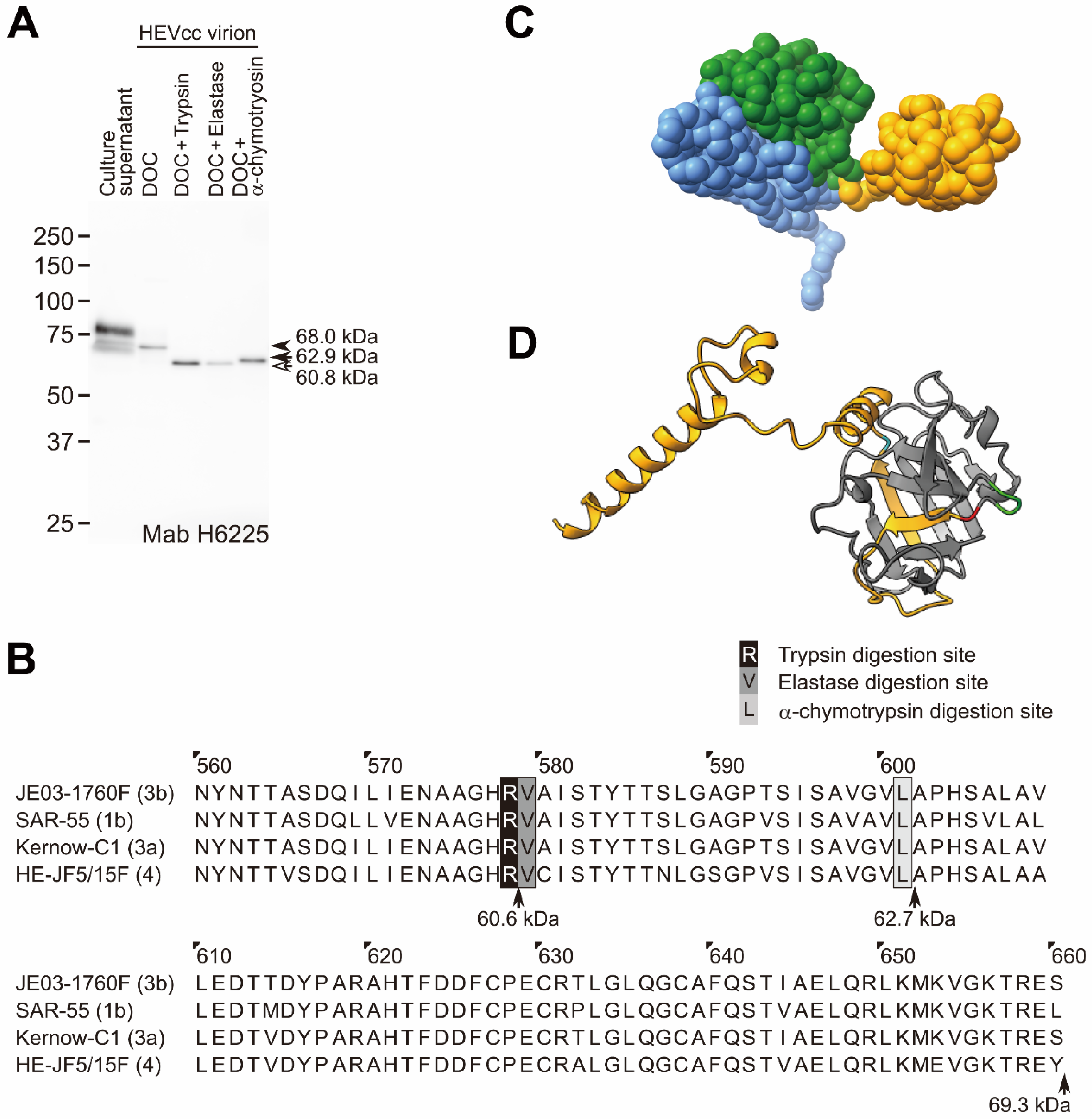 Pathogens 11 00024 g004 550