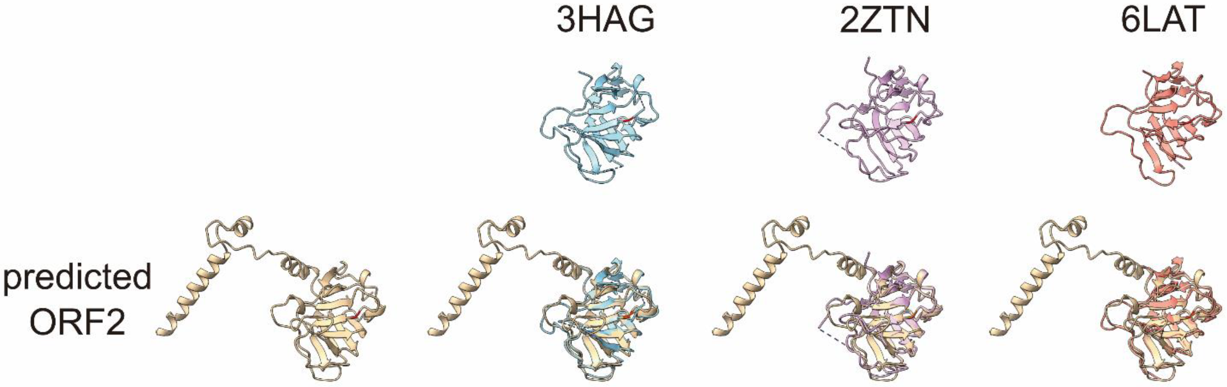 Pathogens 11 00024 g005 550