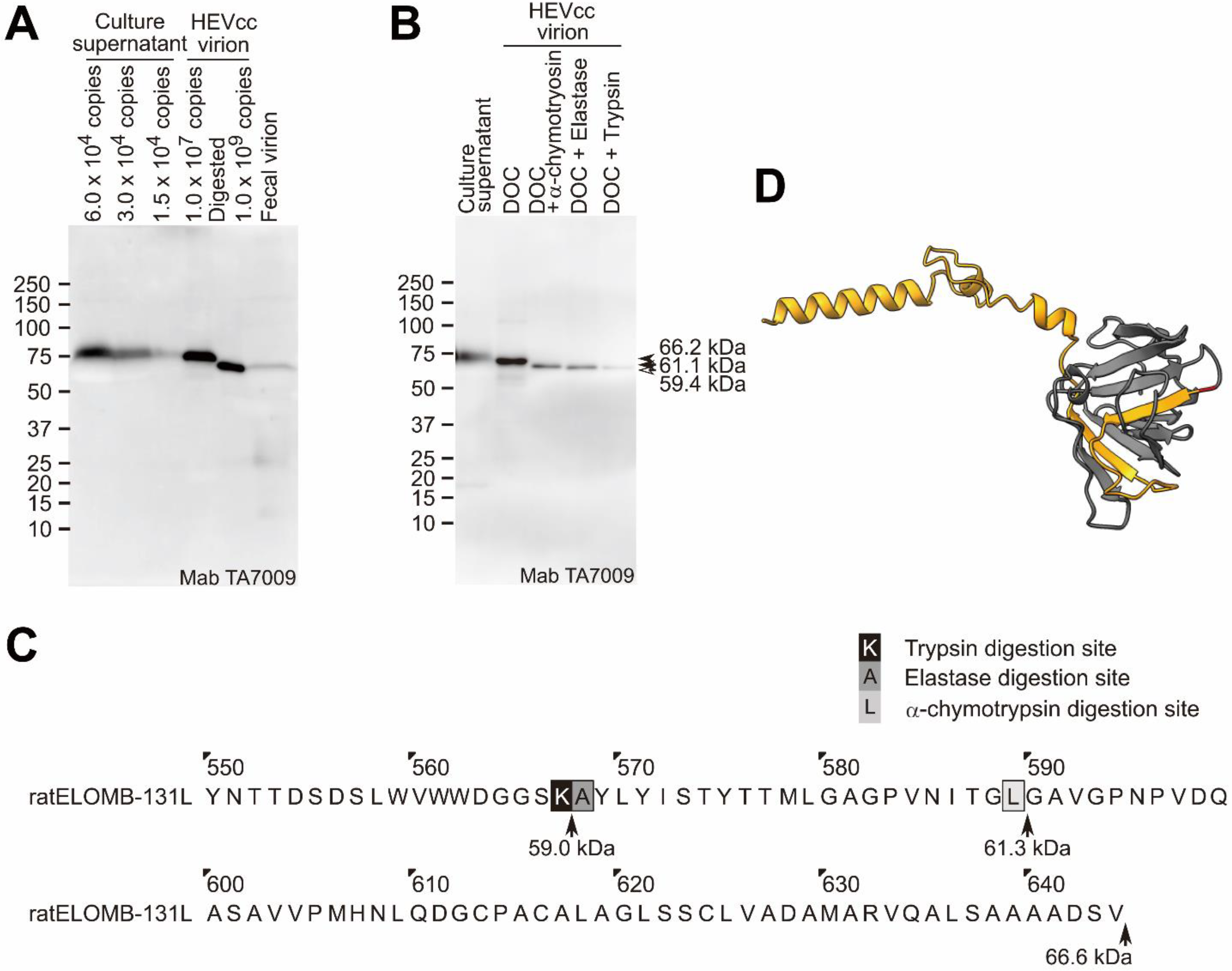 Pathogens 11 00024 g006 550
