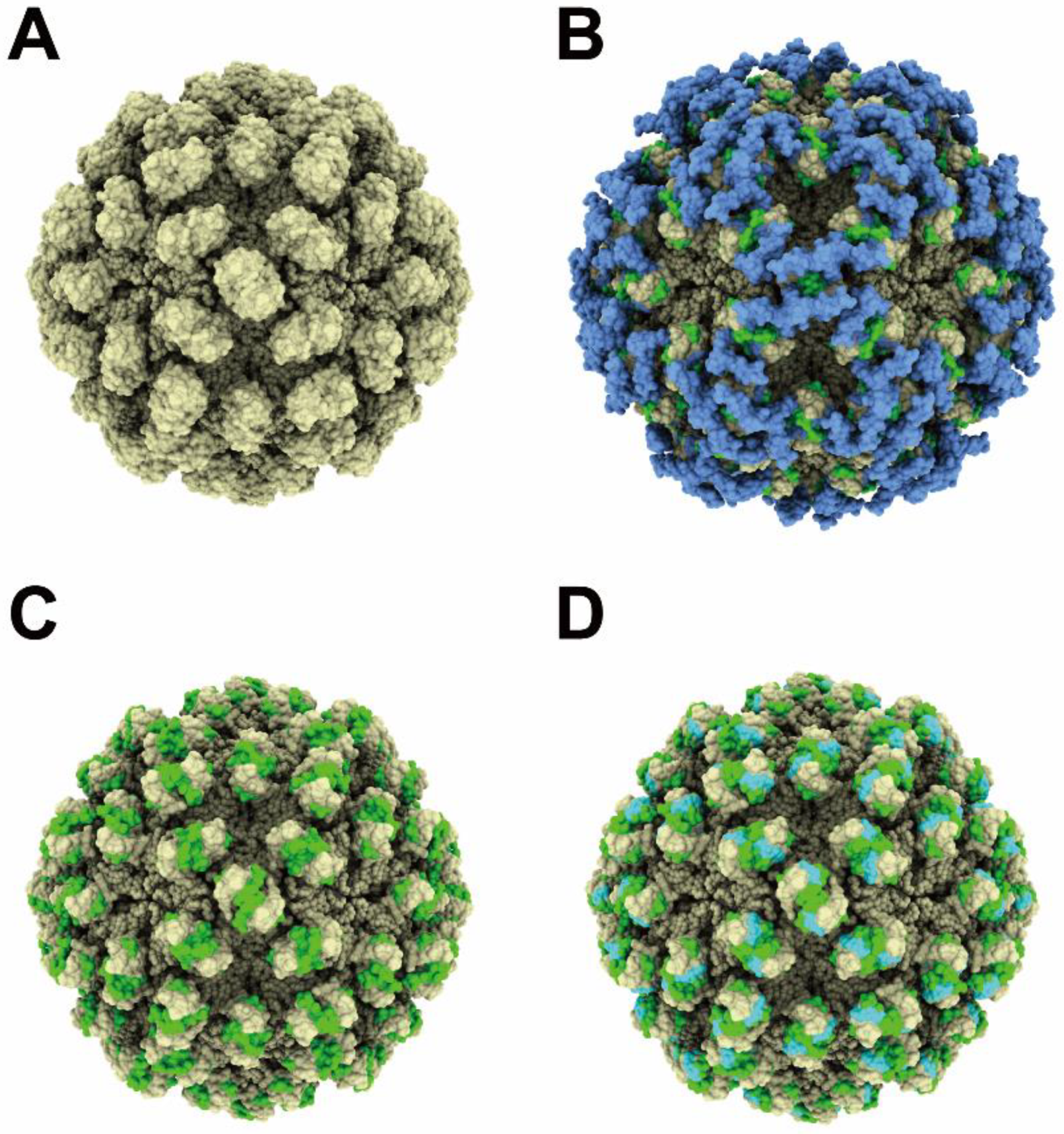 Pathogens 11 00024 g007 550