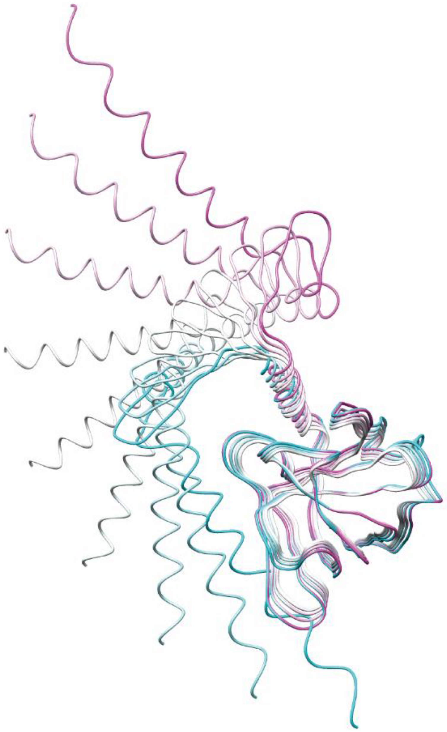 Pathogens 11 00024 g008 550