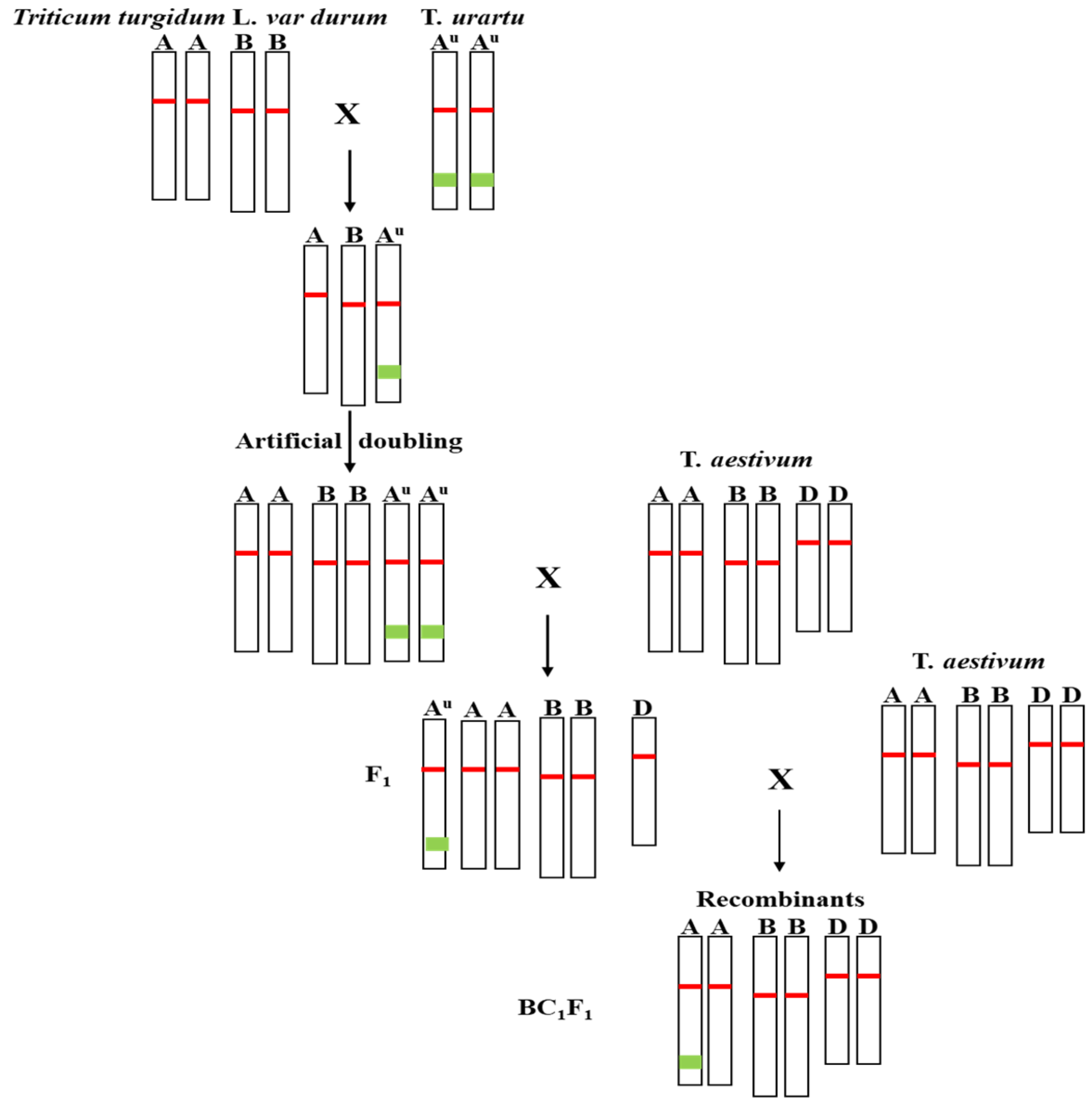 Pathogens 11 00025 g001 550