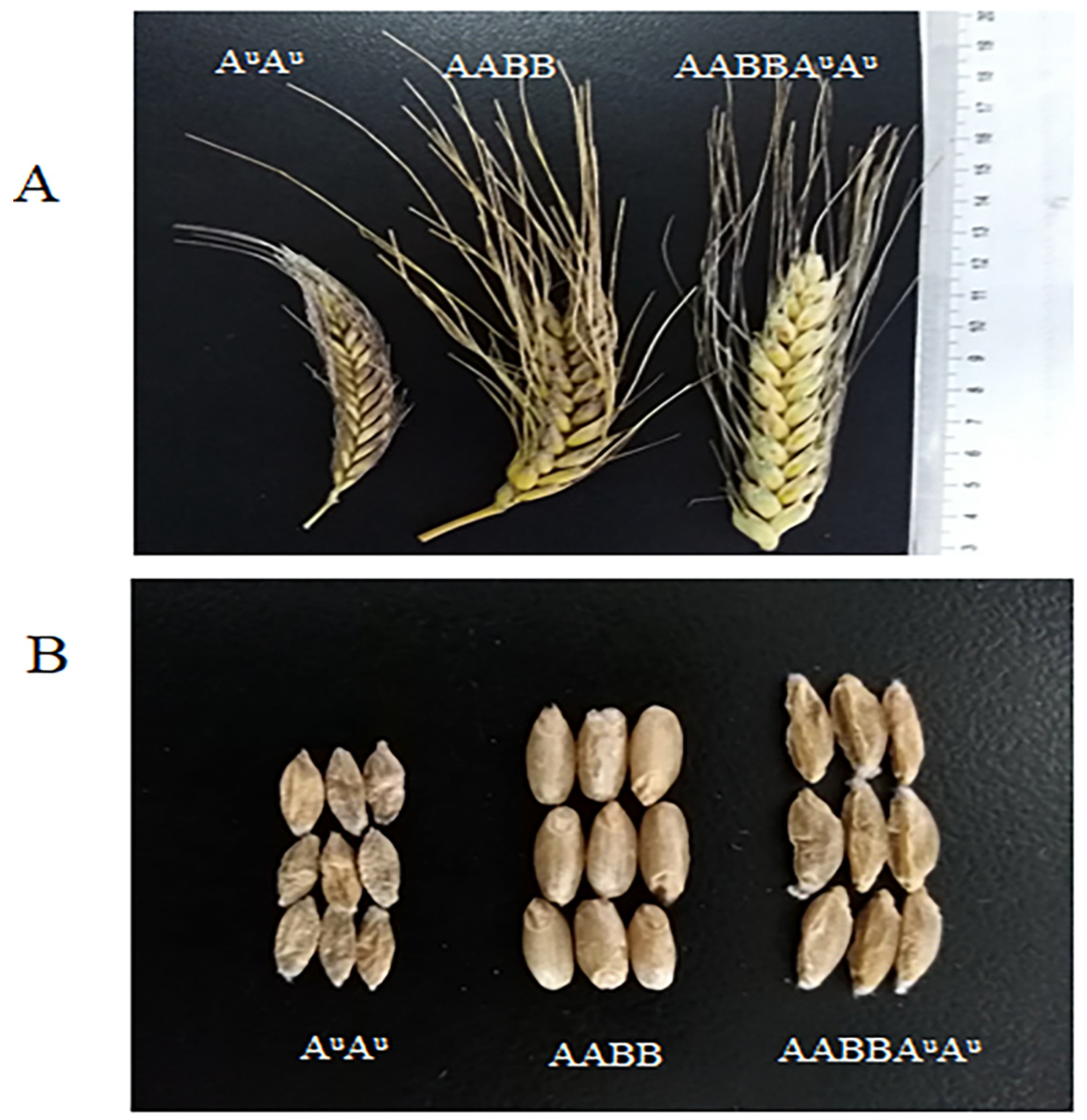 Pathogens 11 00025 g002 550