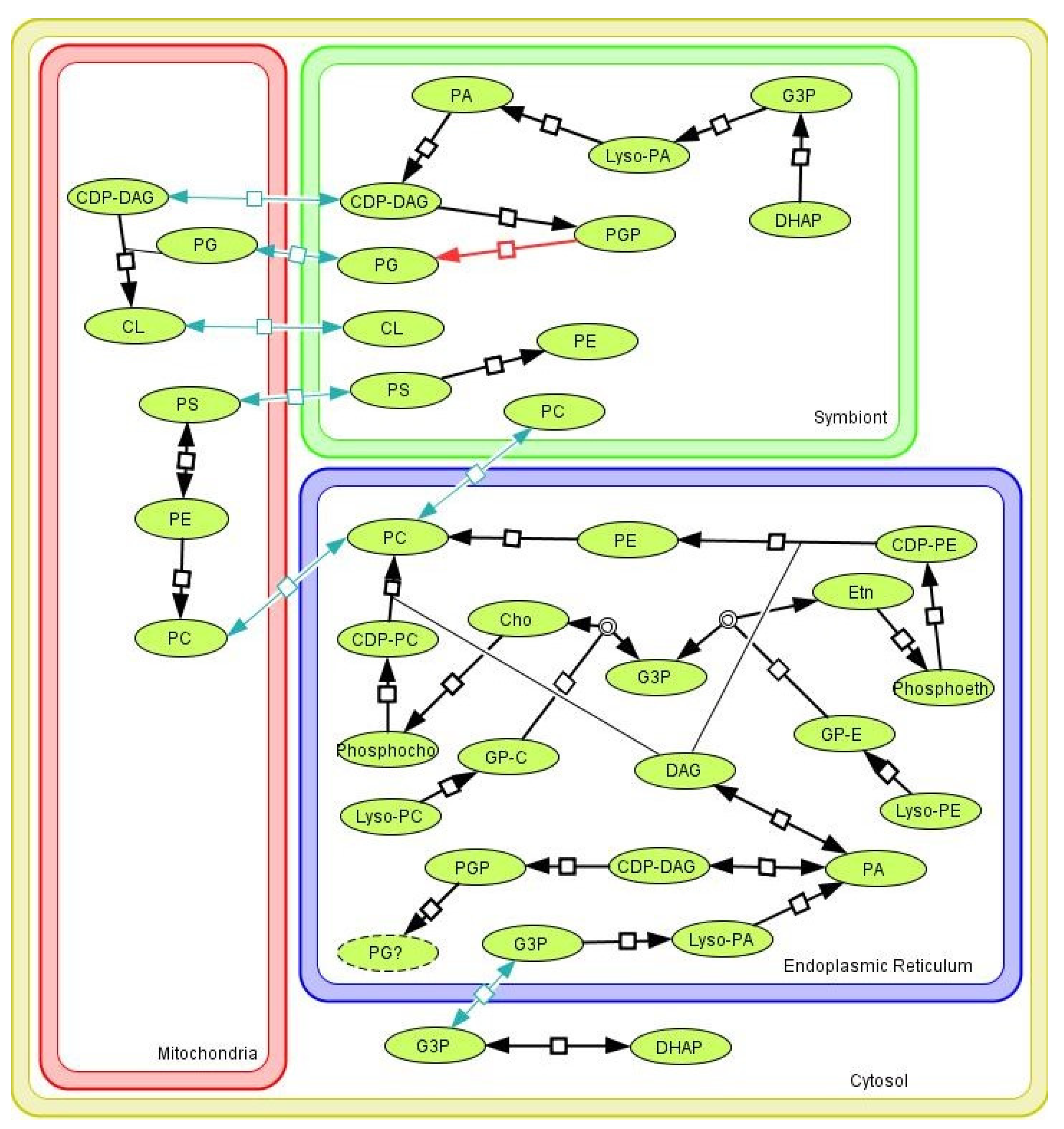 Pathogens 11 00041 g005 Pathogens 11 00041 g005