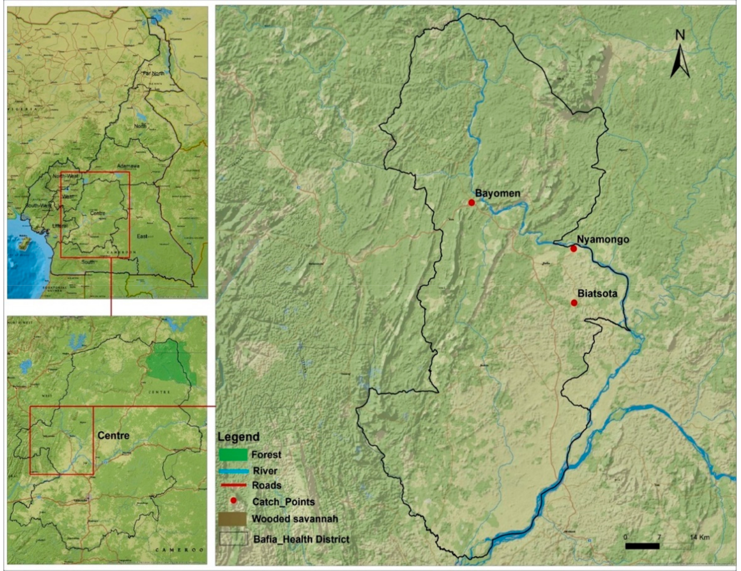 Pathogens 11 00044 g007 550
