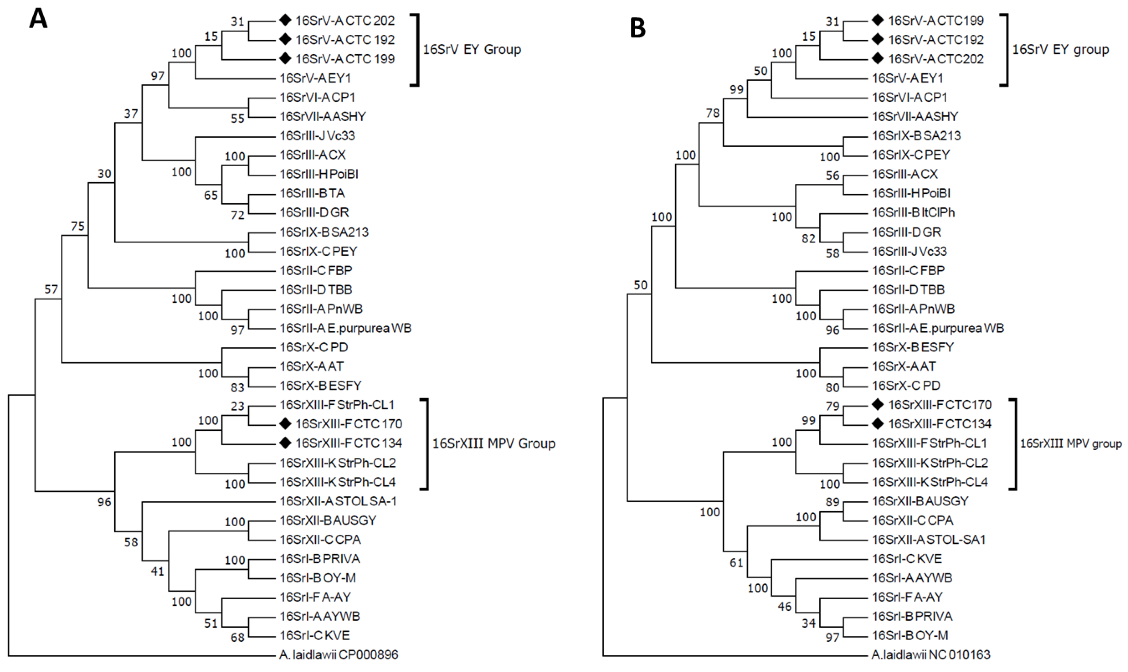 Pathogens 11 00048 g001 Pathogens 11 00048 g001