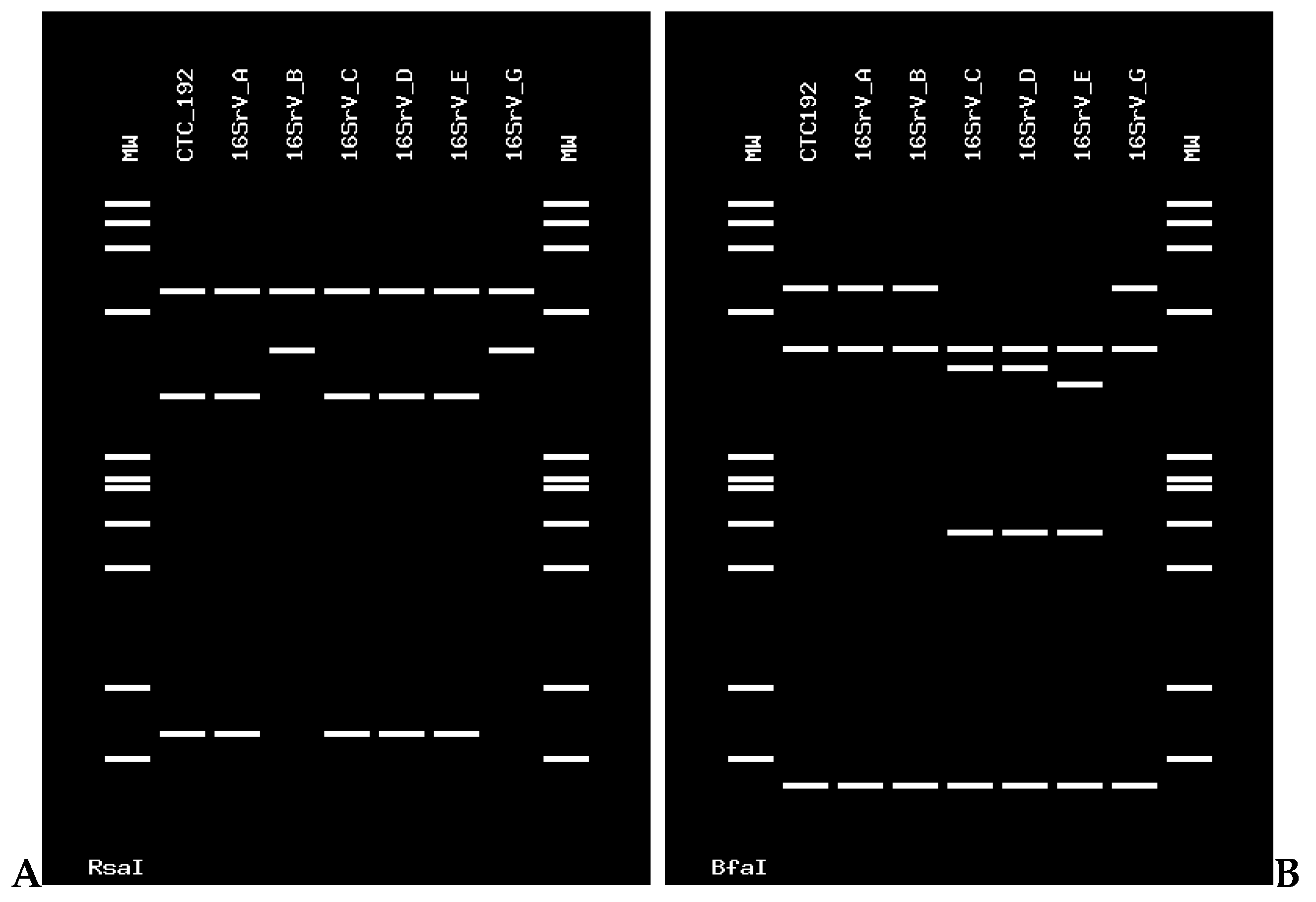 Pathogens 11 00048 g002 Pathogens 11 00048 g002