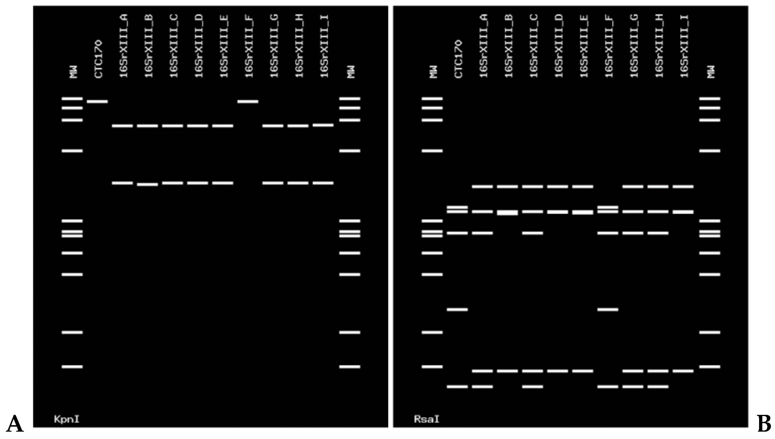 Pathogens 11 00048 g003 Pathogens 11 00048 g003