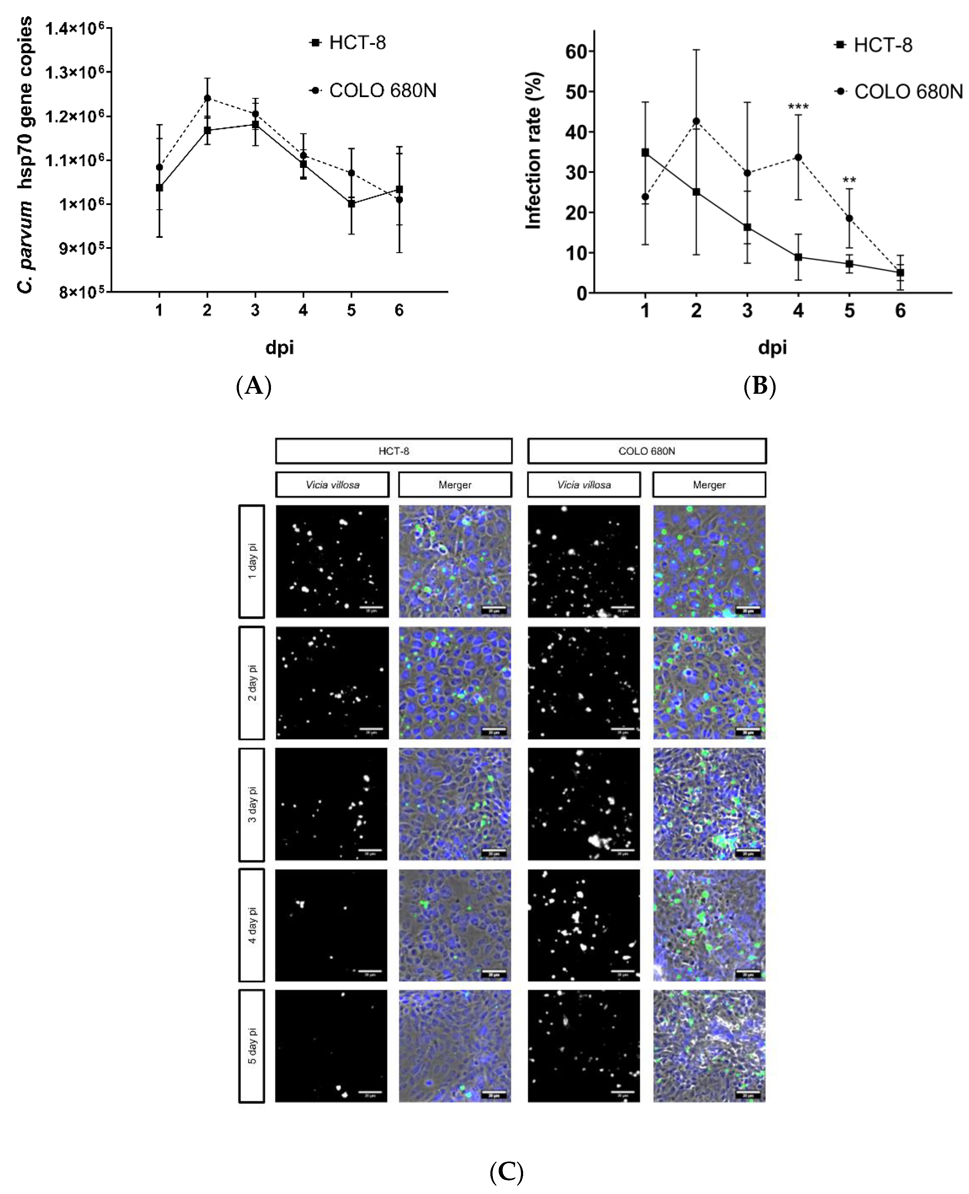 Pathogens 11 00049 g002 550