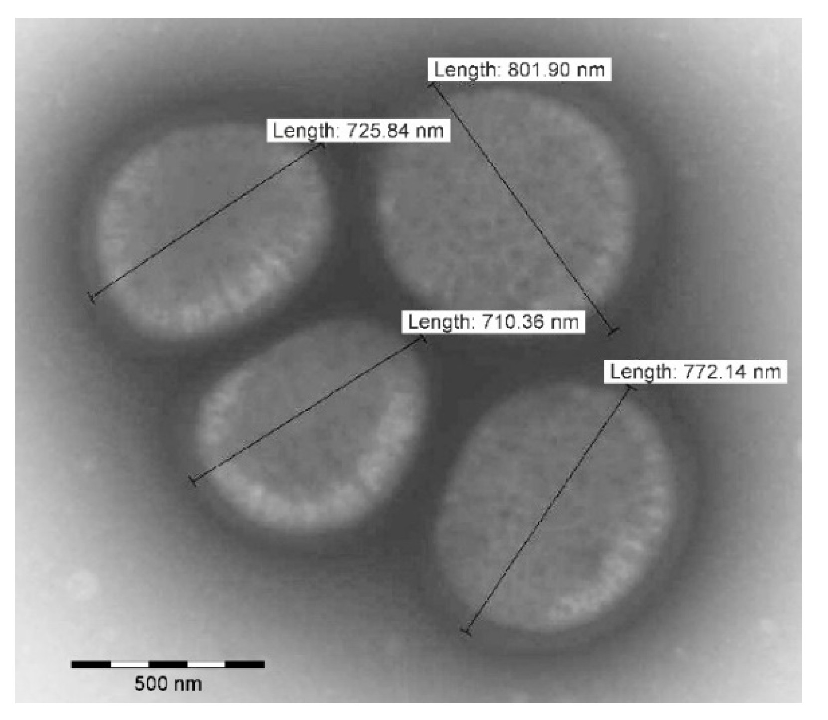 Pathogens 11 00051 g002