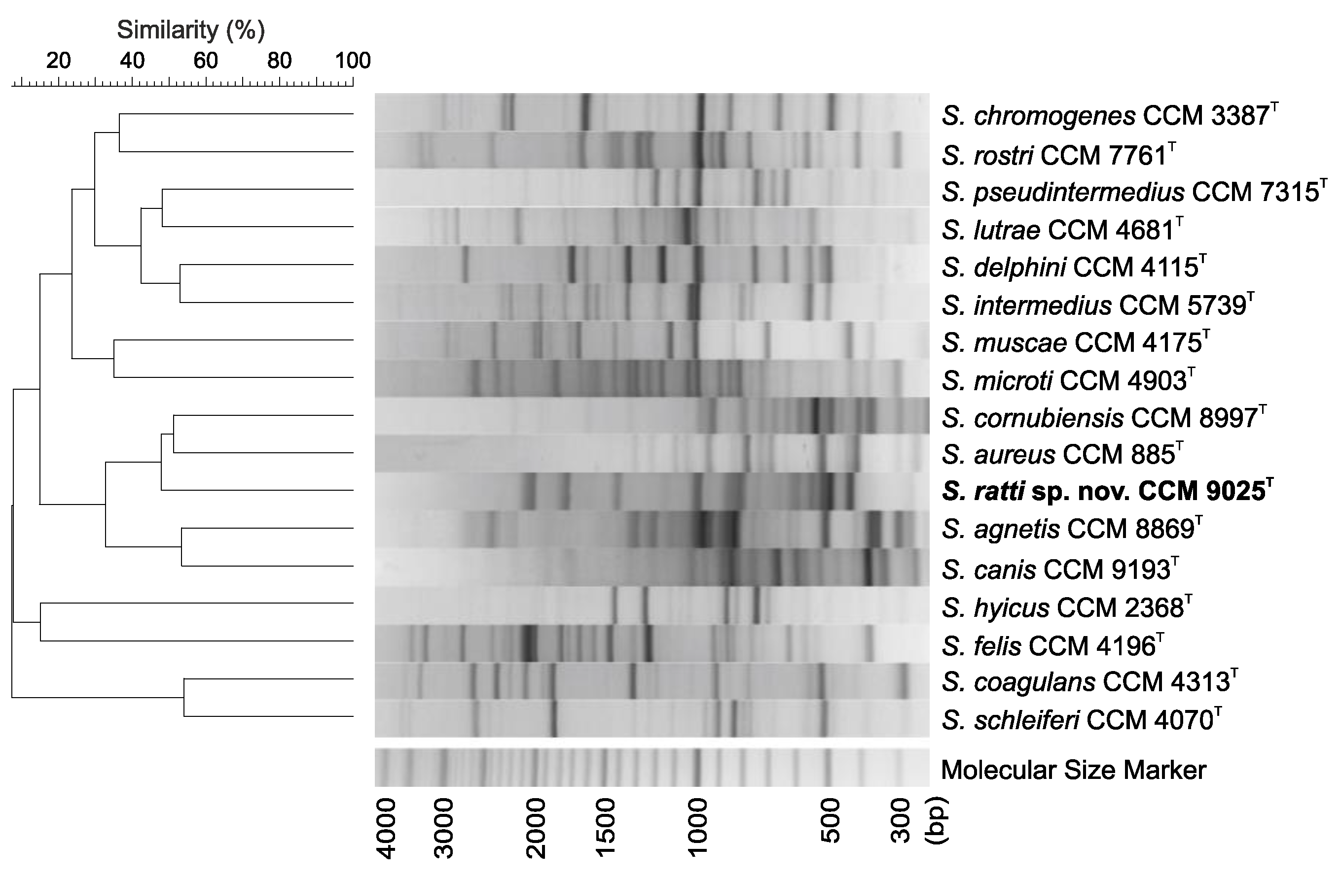 Pathogens 11 00051 g003