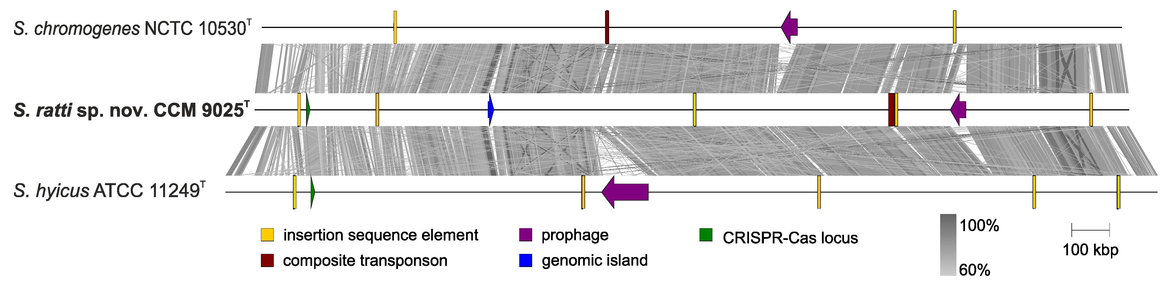 Pathogens 11 00051 g004
