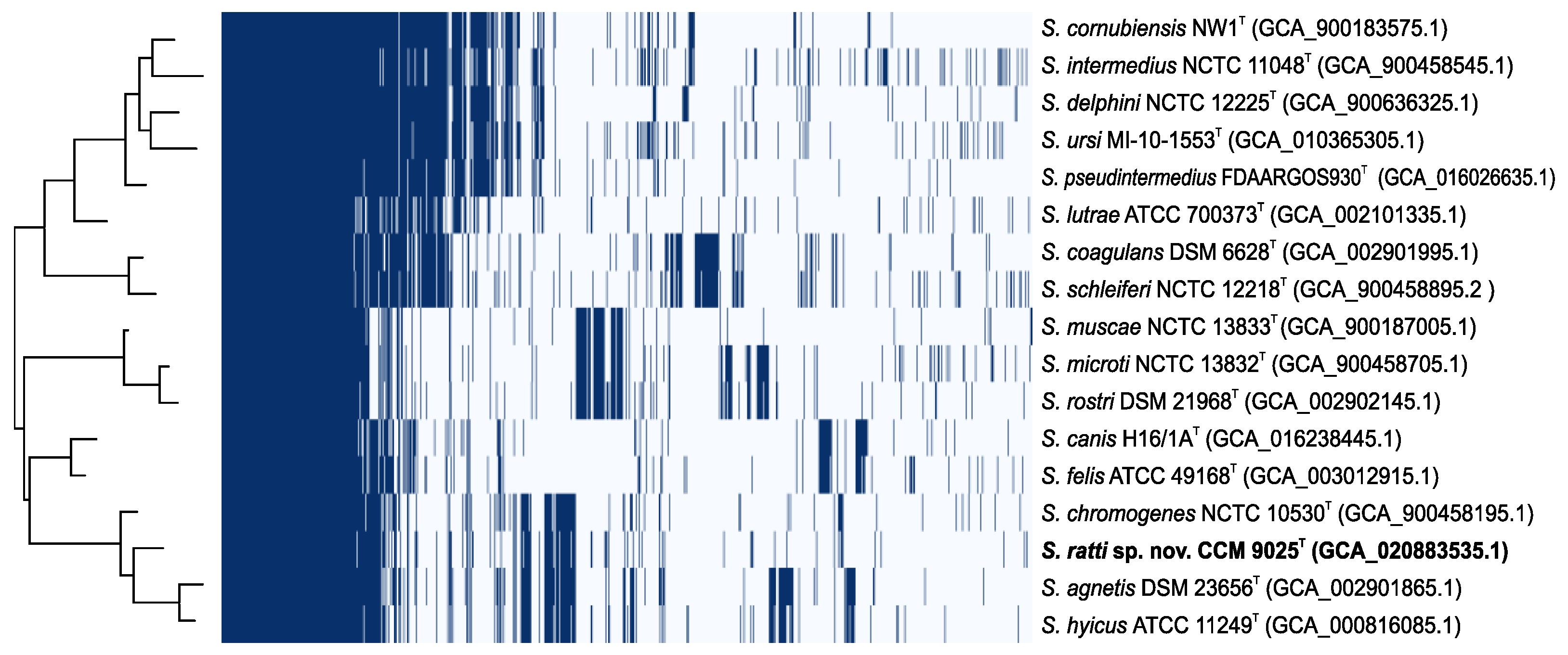 Pathogens 11 00051 g005