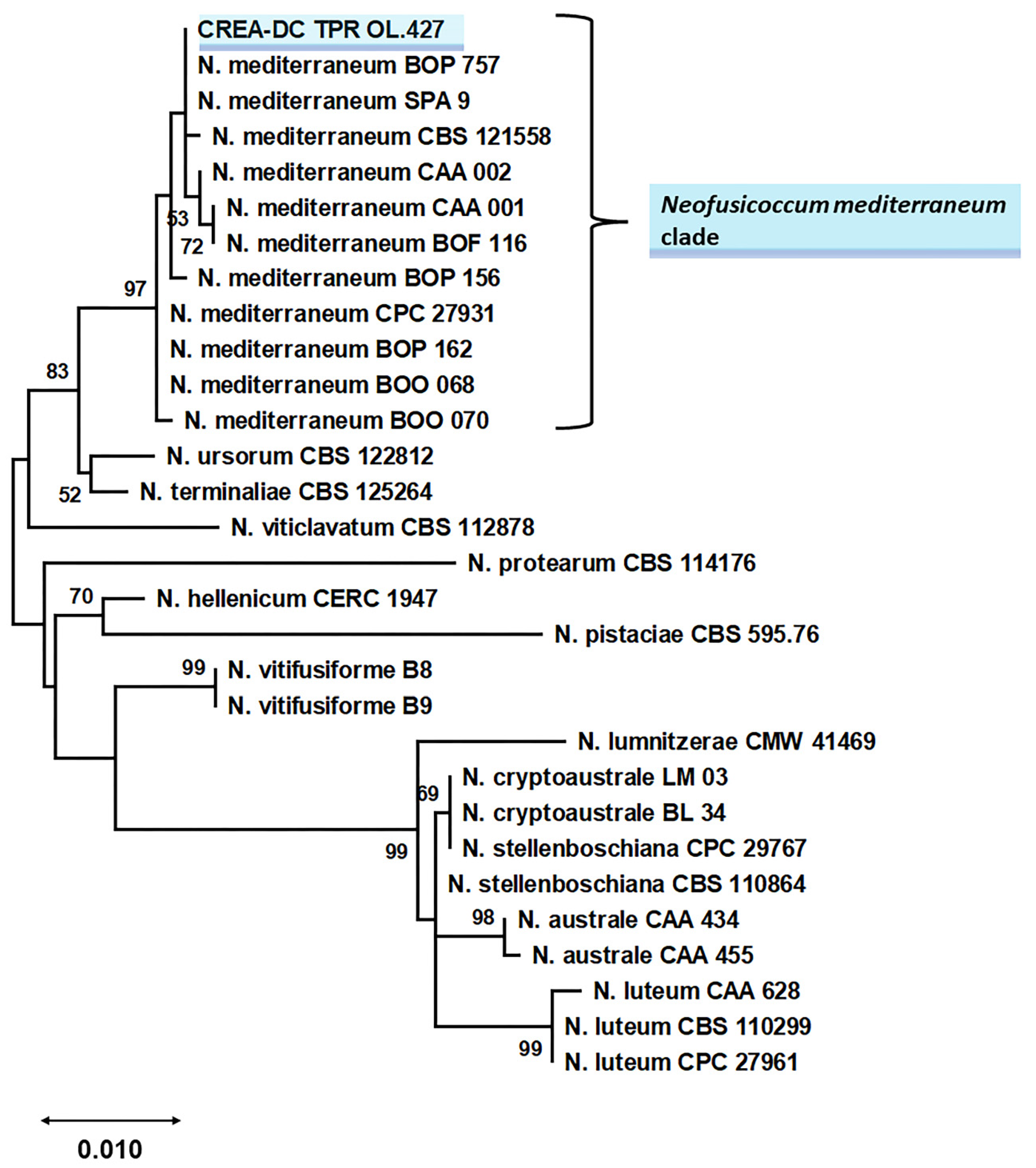 Pathogens 11 00053 g008