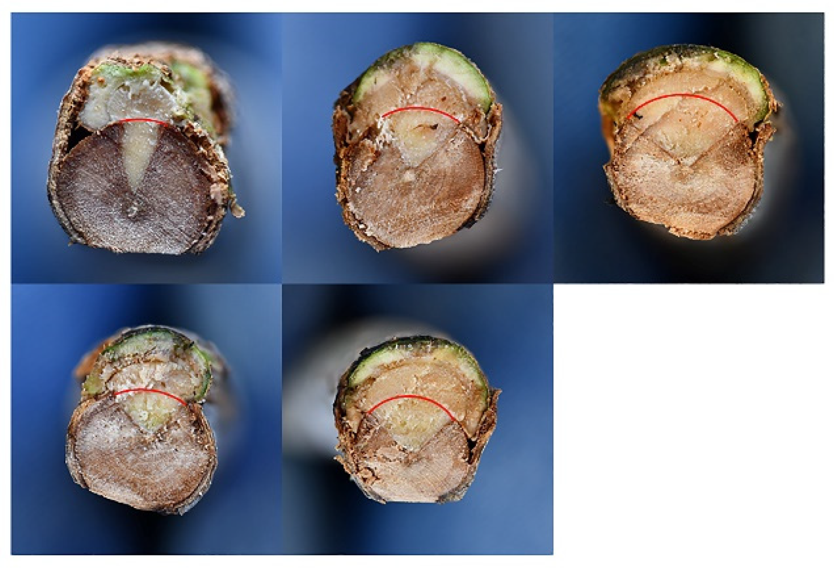 Pathogens 11 00053 g010