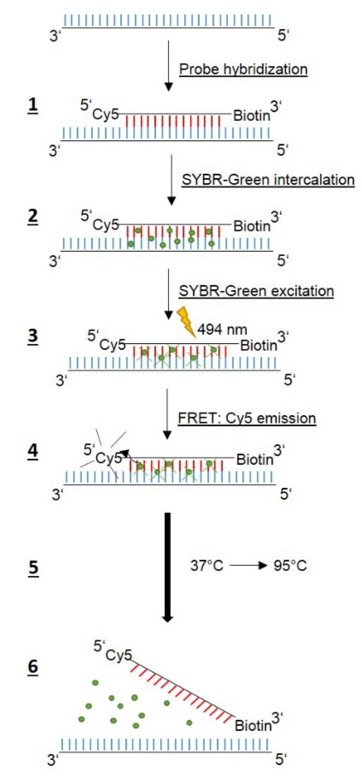 Pathogens 11 00059 g001
