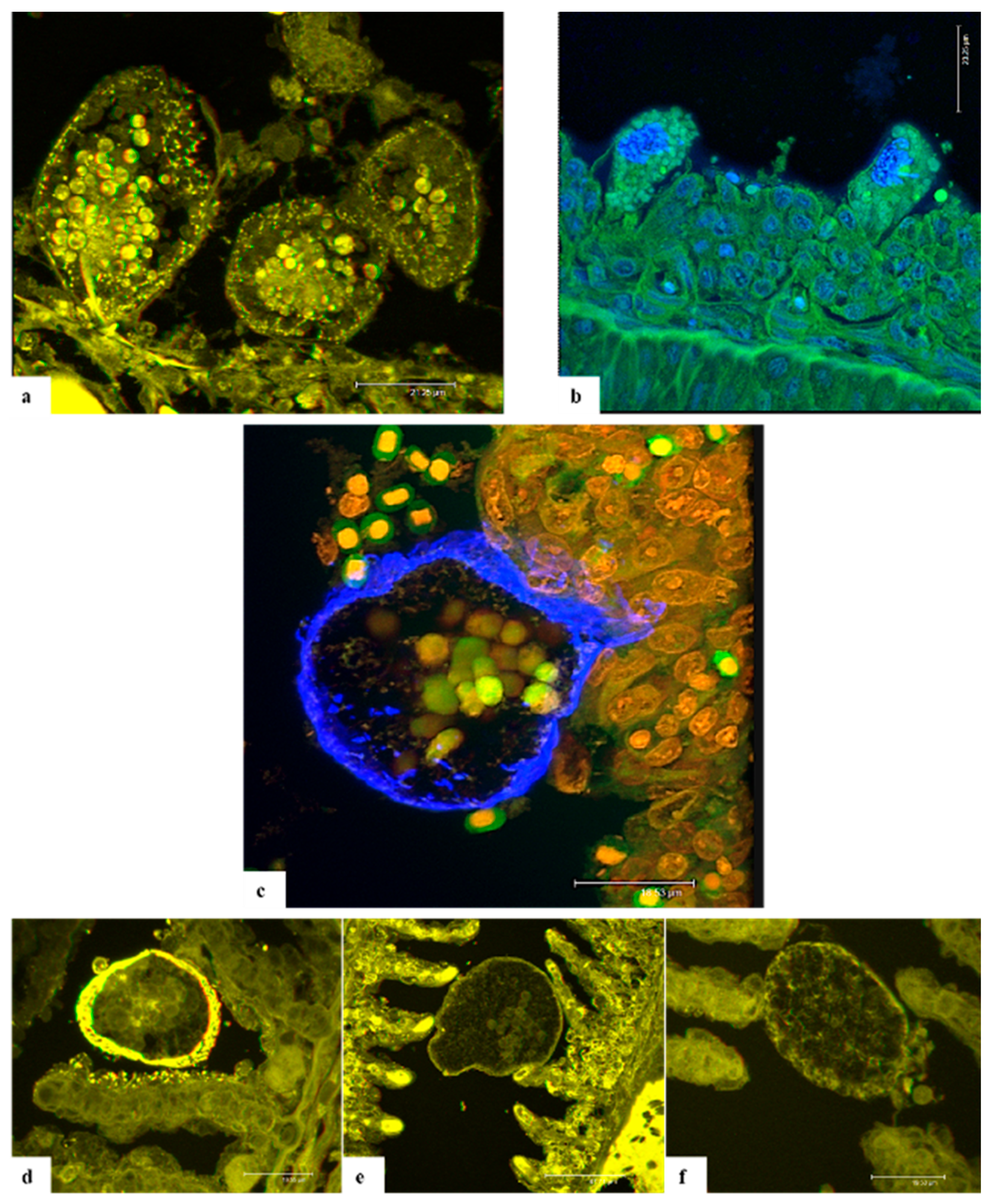 Pathogens 11 00062 g003