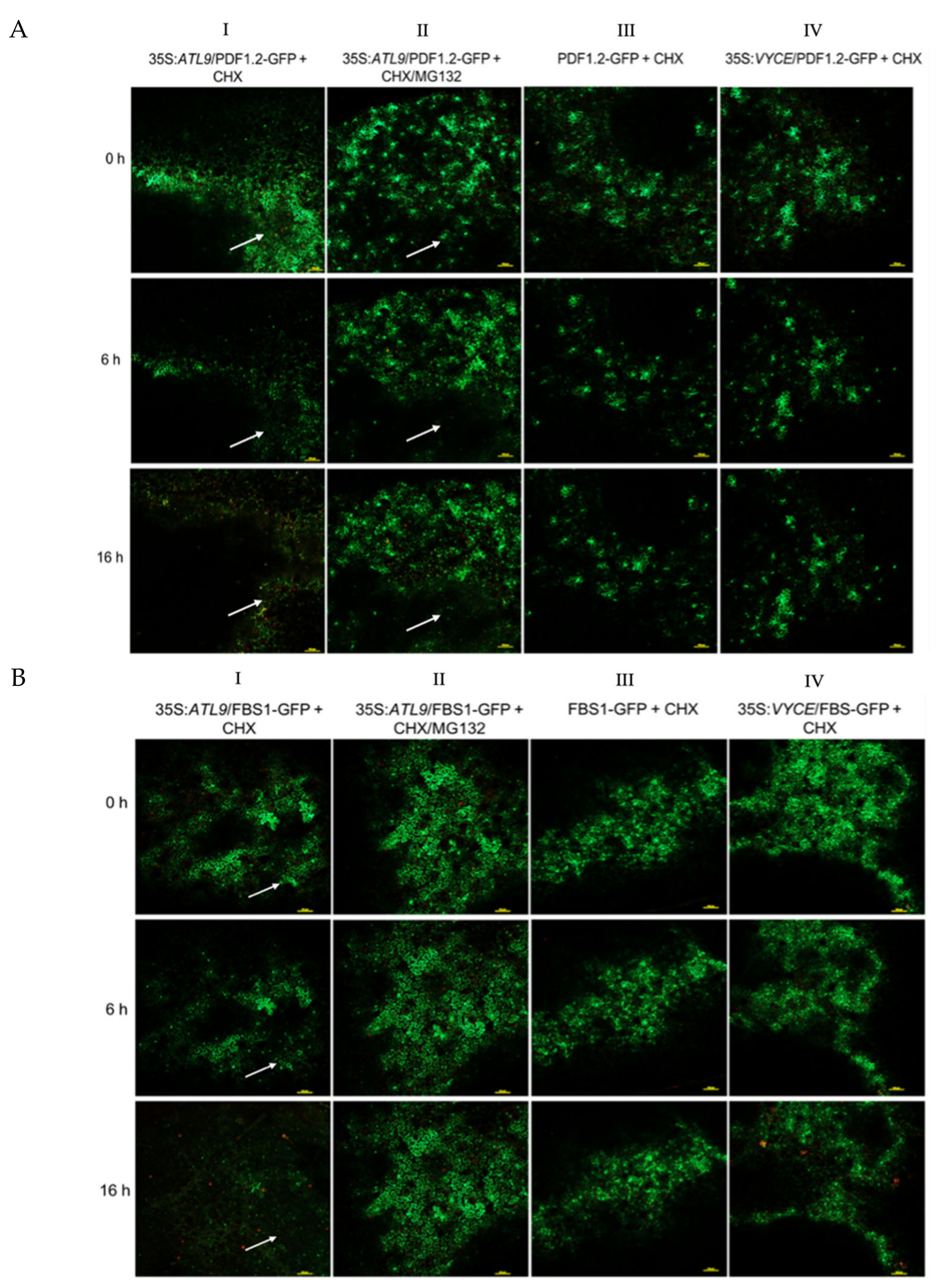Pathogens 11 00068 g004a 550