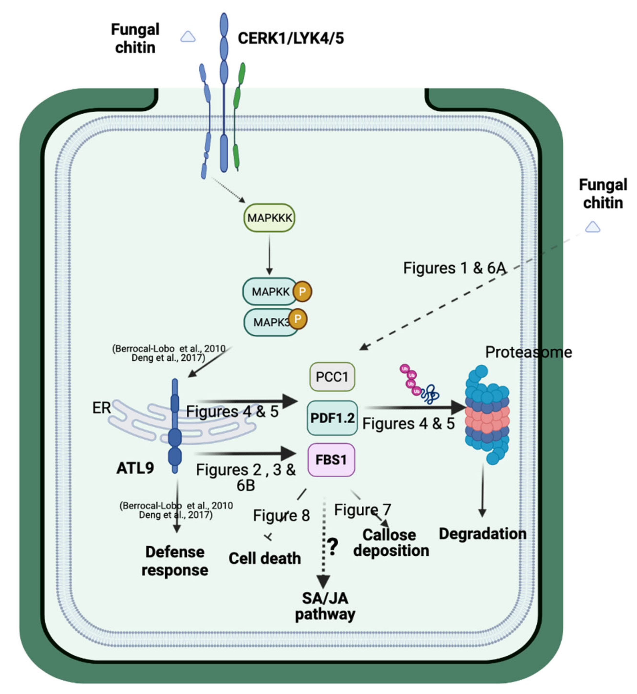 Pathogens 11 00068 g009 550