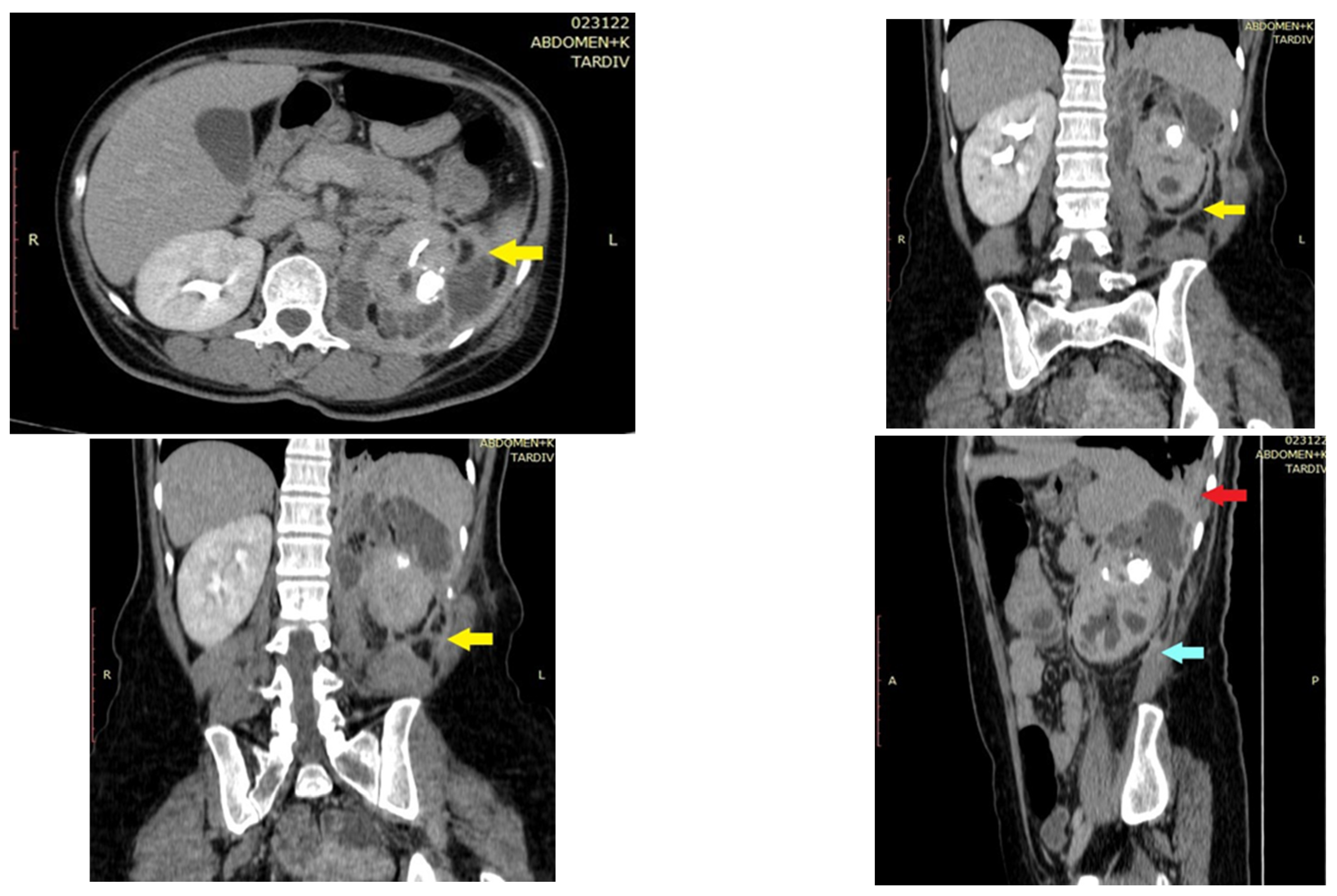Pathogens 11 00081 g001 Pathogens 11 00081 g001