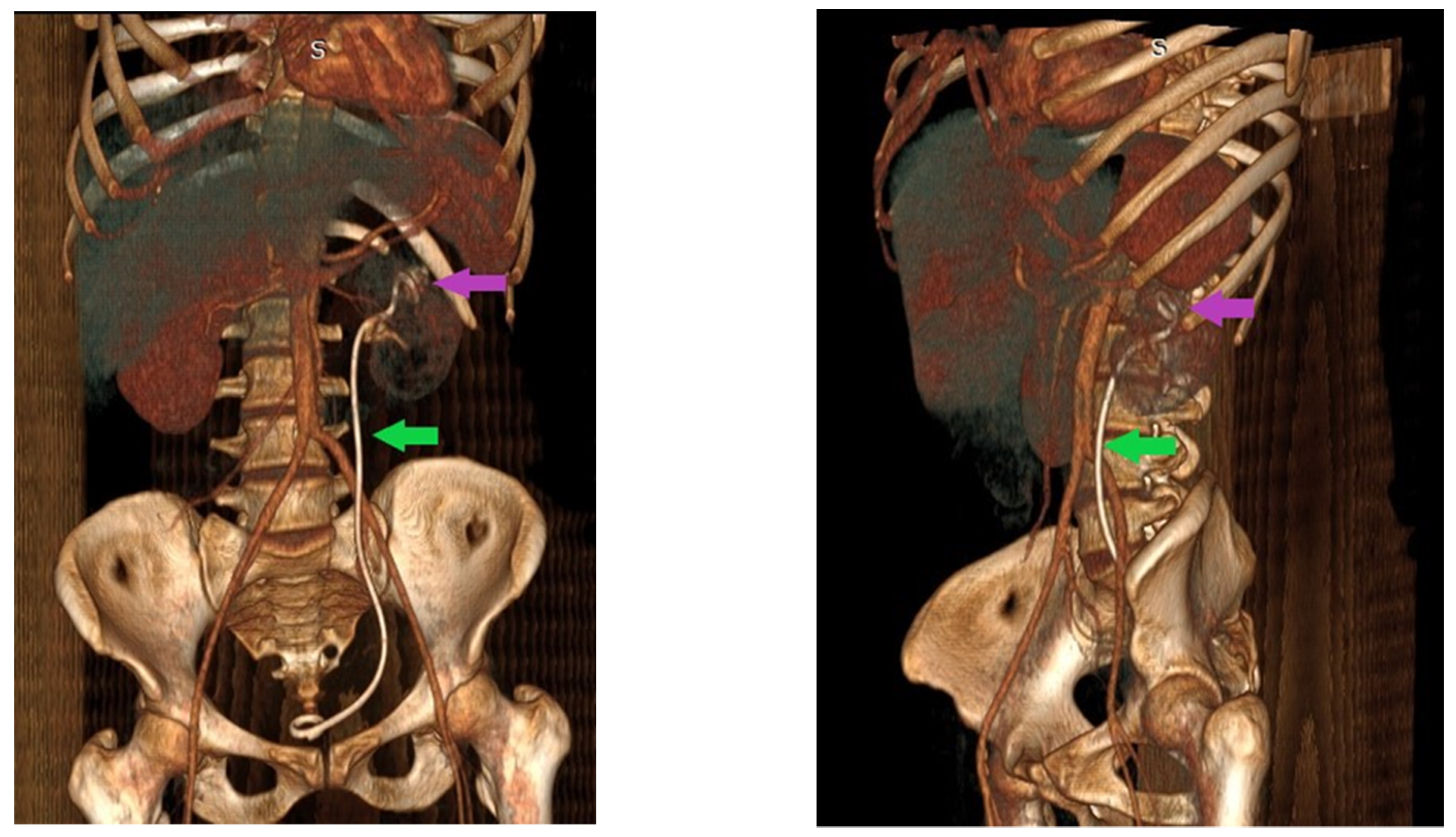 Pathogens 11 00081 g002 Pathogens 11 00081 g002