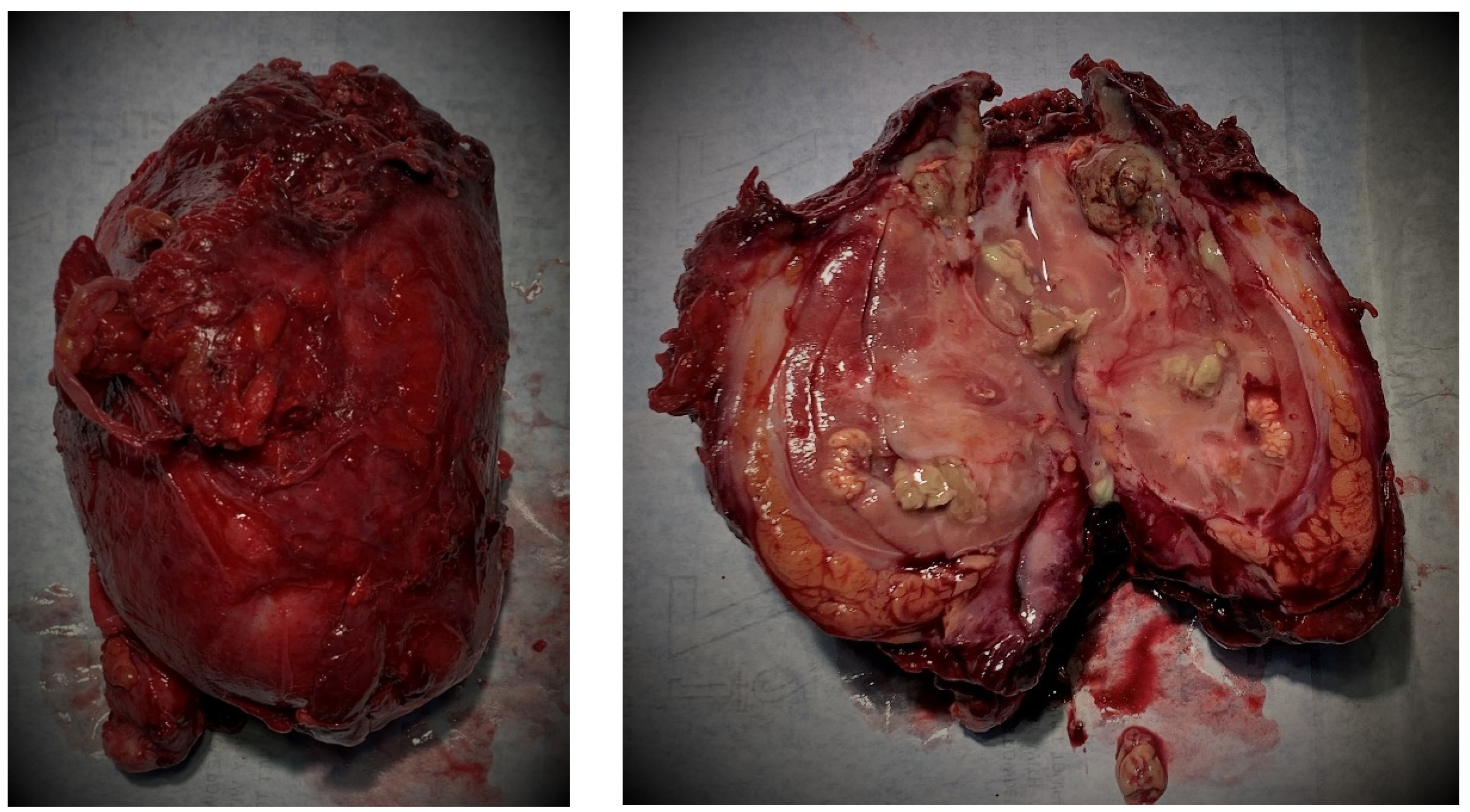 Pathogens 11 00081 g003 Pathogens 11 00081 g003