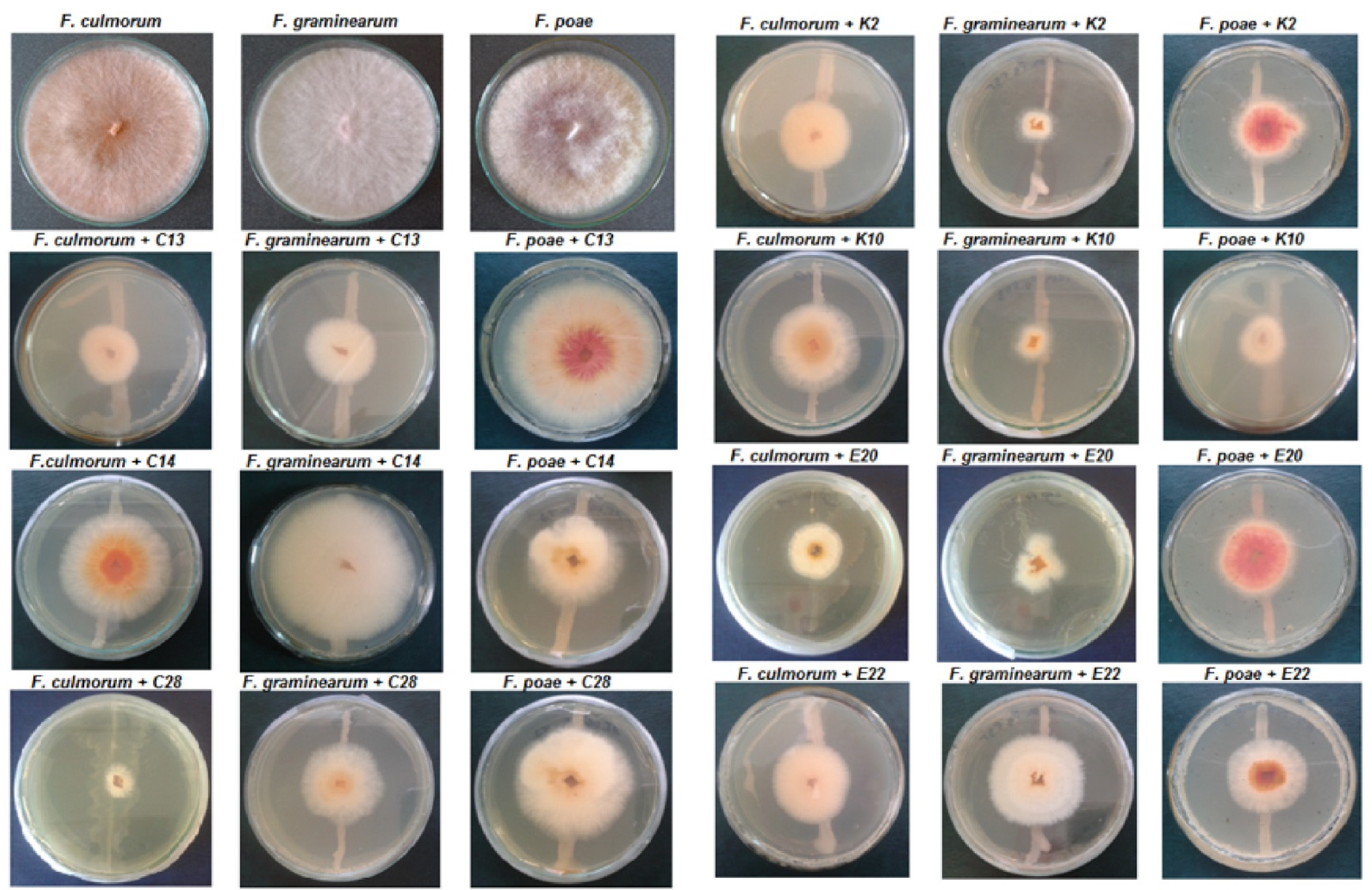 Pathogens 11 00086 g002 550