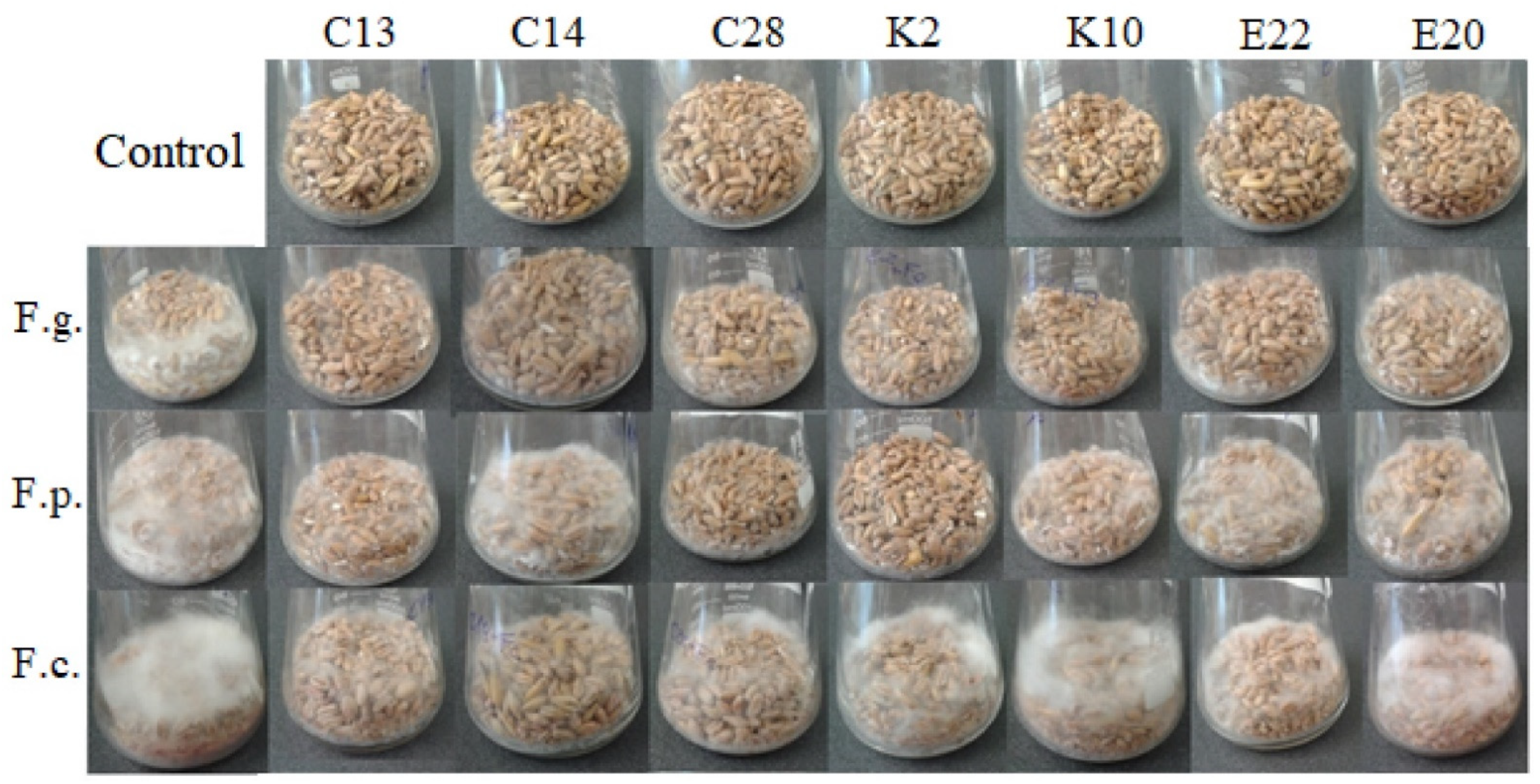 Pathogens 11 00086 g006 550