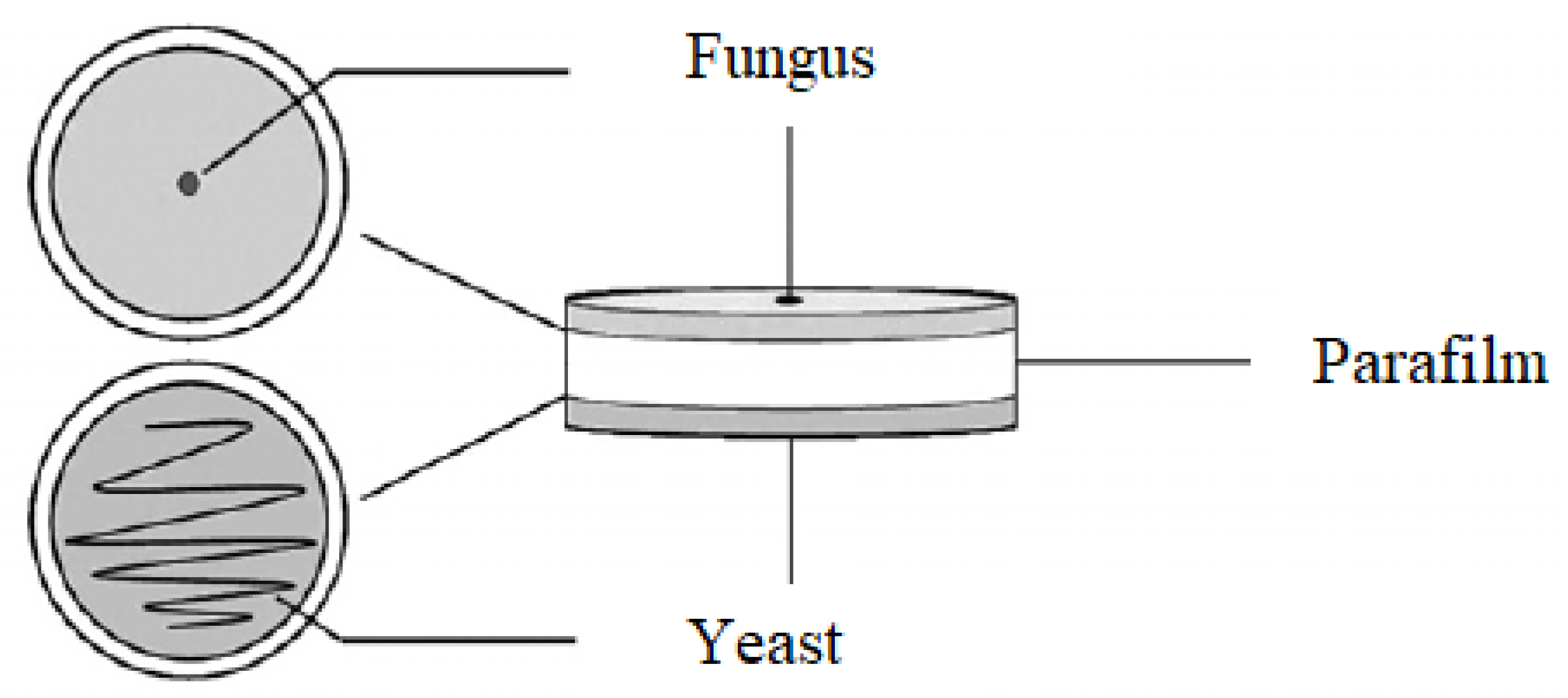 Pathogens 11 00086 g008 550