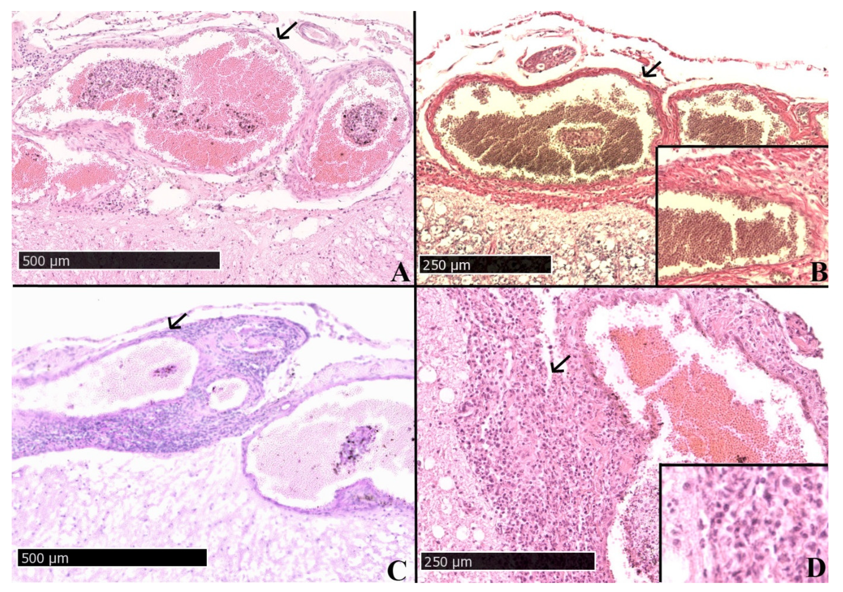 Pathogens 11 00088 g001 Pathogens 11 00088 g001