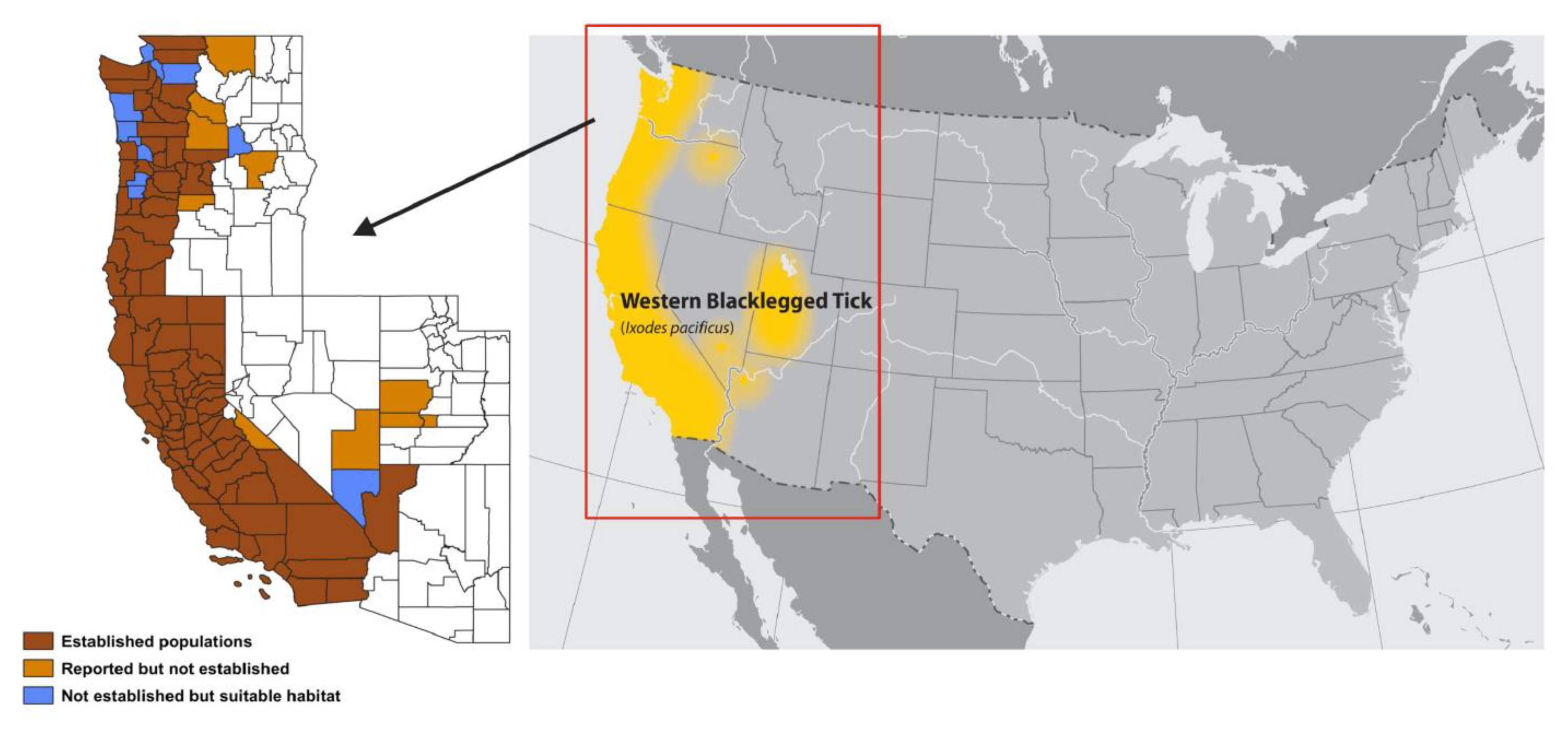 Pathogens 11 00089 g001 Pathogens 11 00089 g001