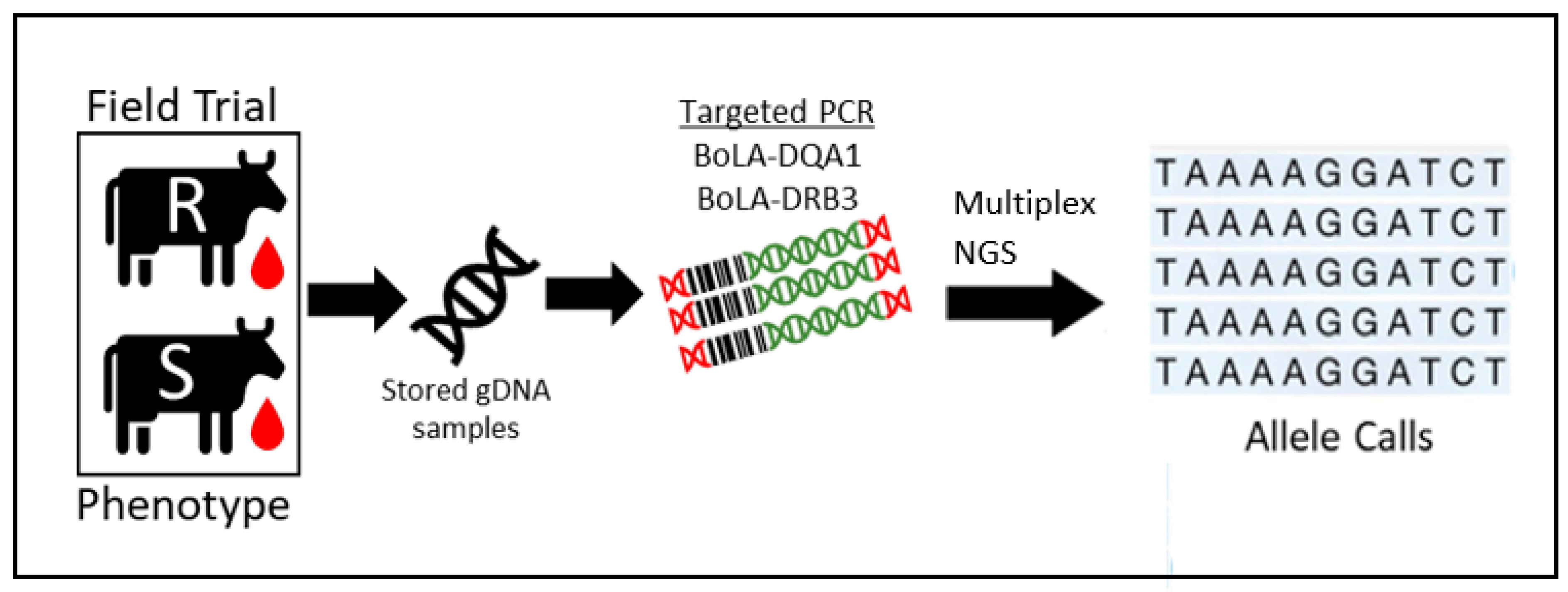 Pathogens 11 00104 g002