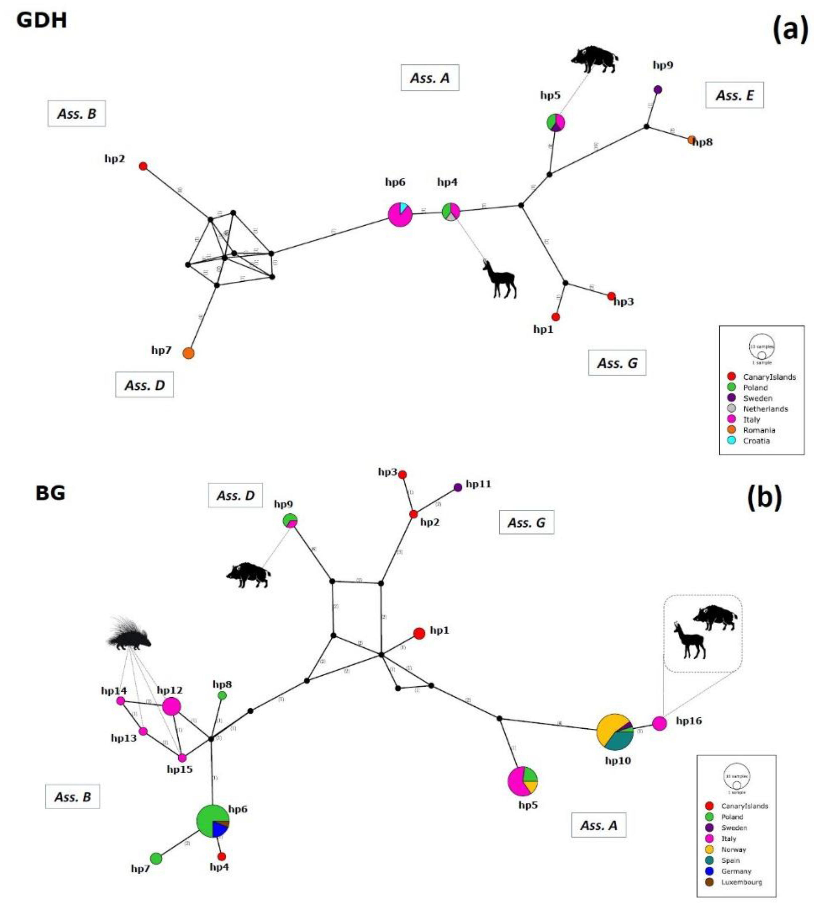 Pathogens 11 00105 g003a