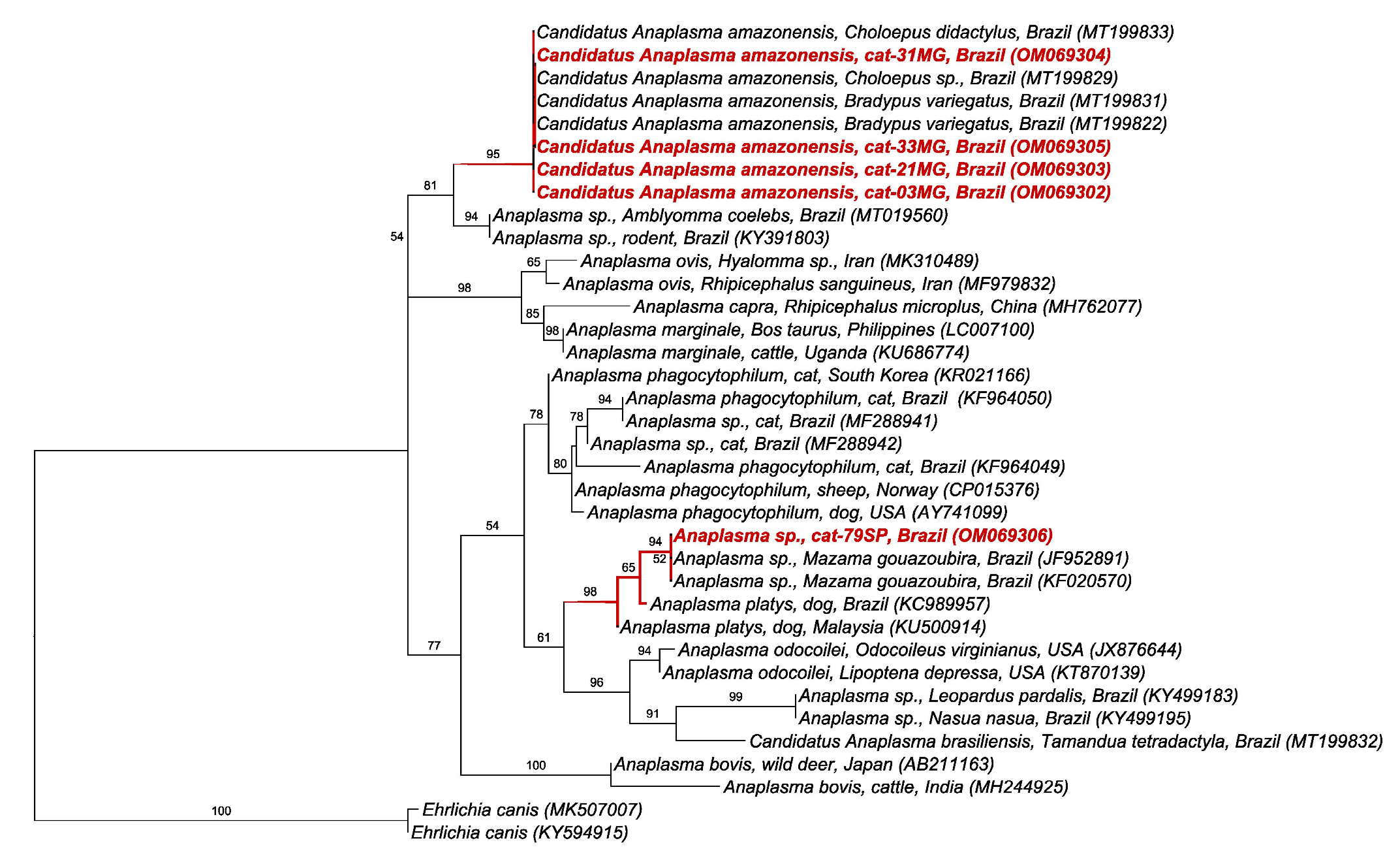 Pathogens 11 00106 g001