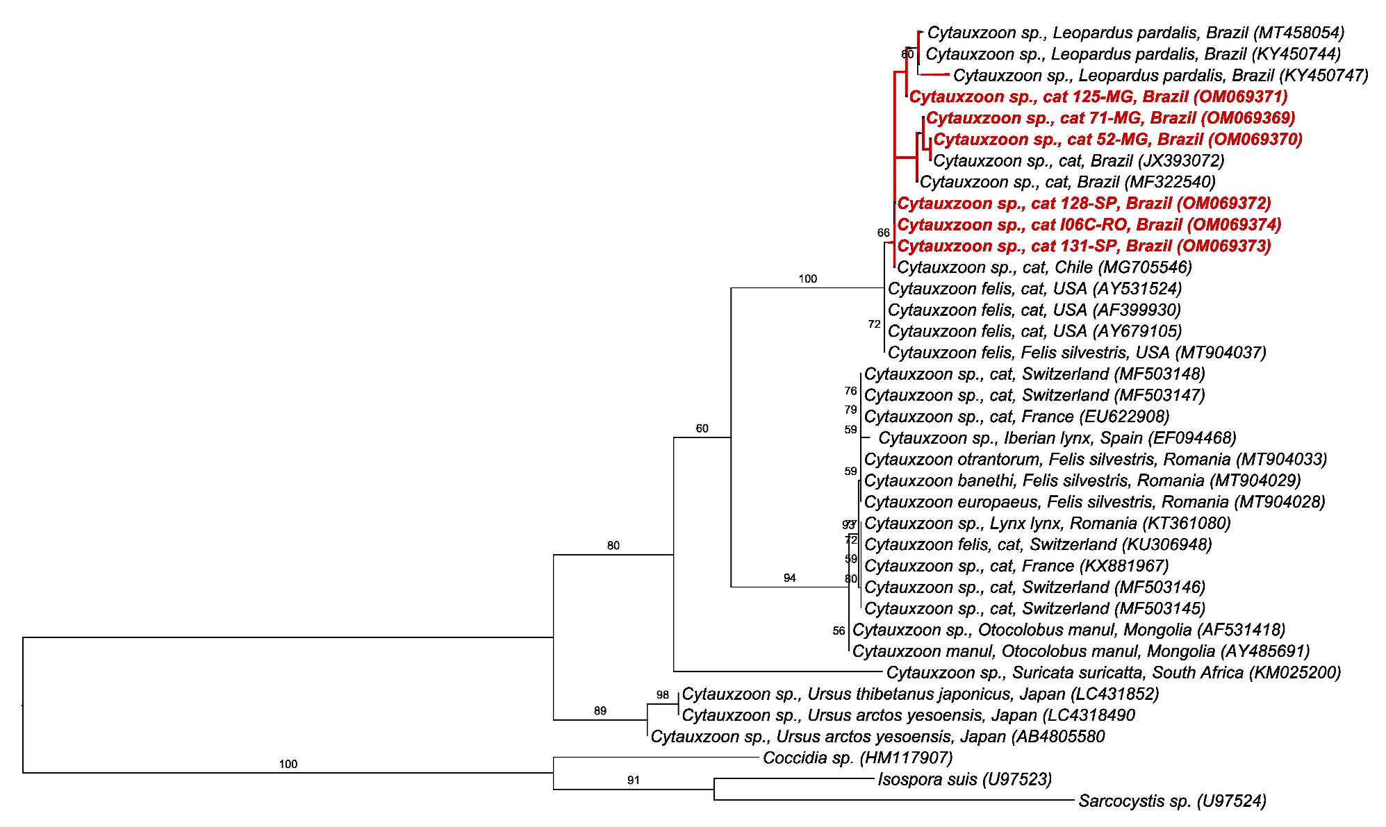 Pathogens 11 00106 g003