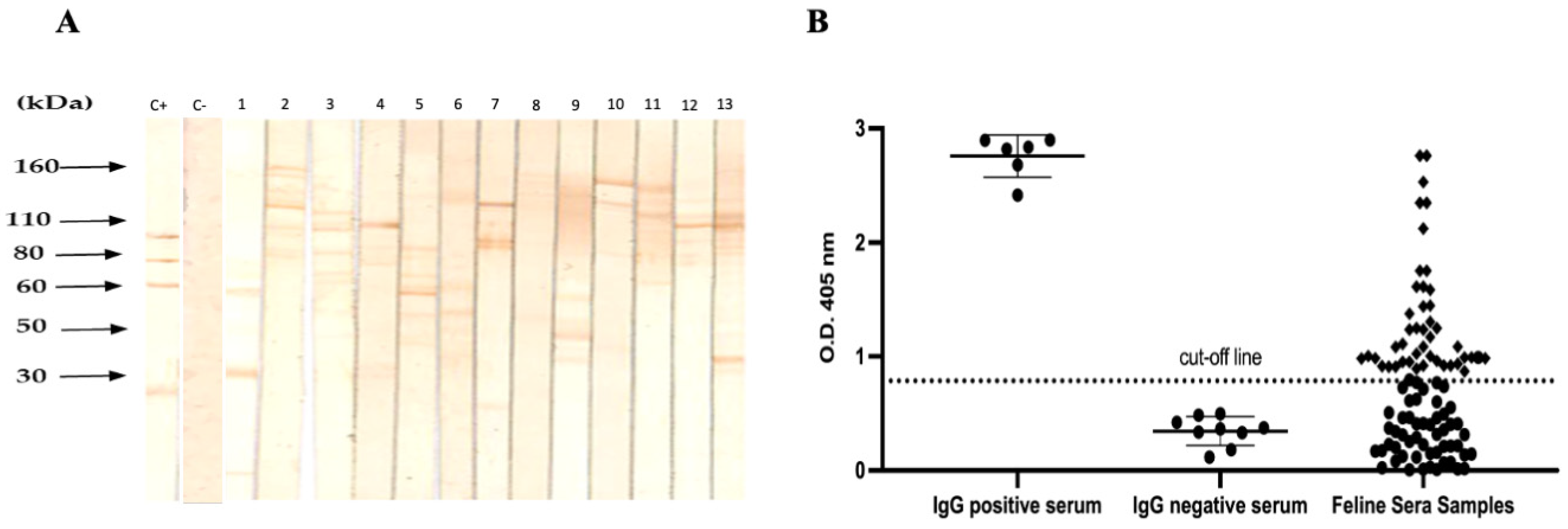 Pathogens 11 00109 g002 Pathogens 11 00109 g002