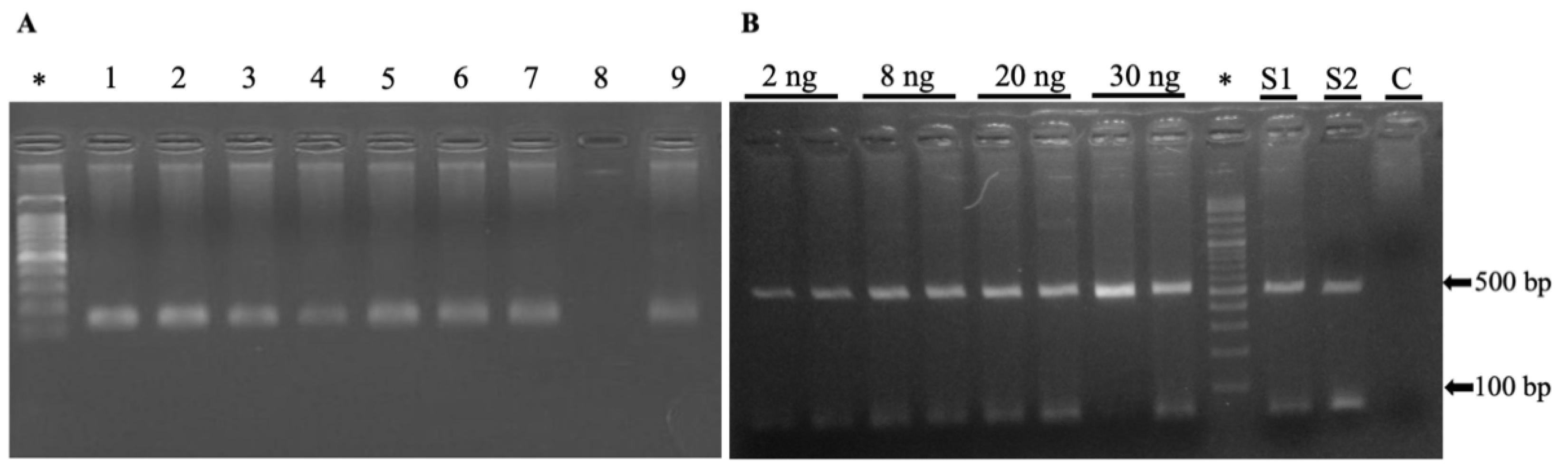 Pathogens 11 00109 g003 Pathogens 11 00109 g003