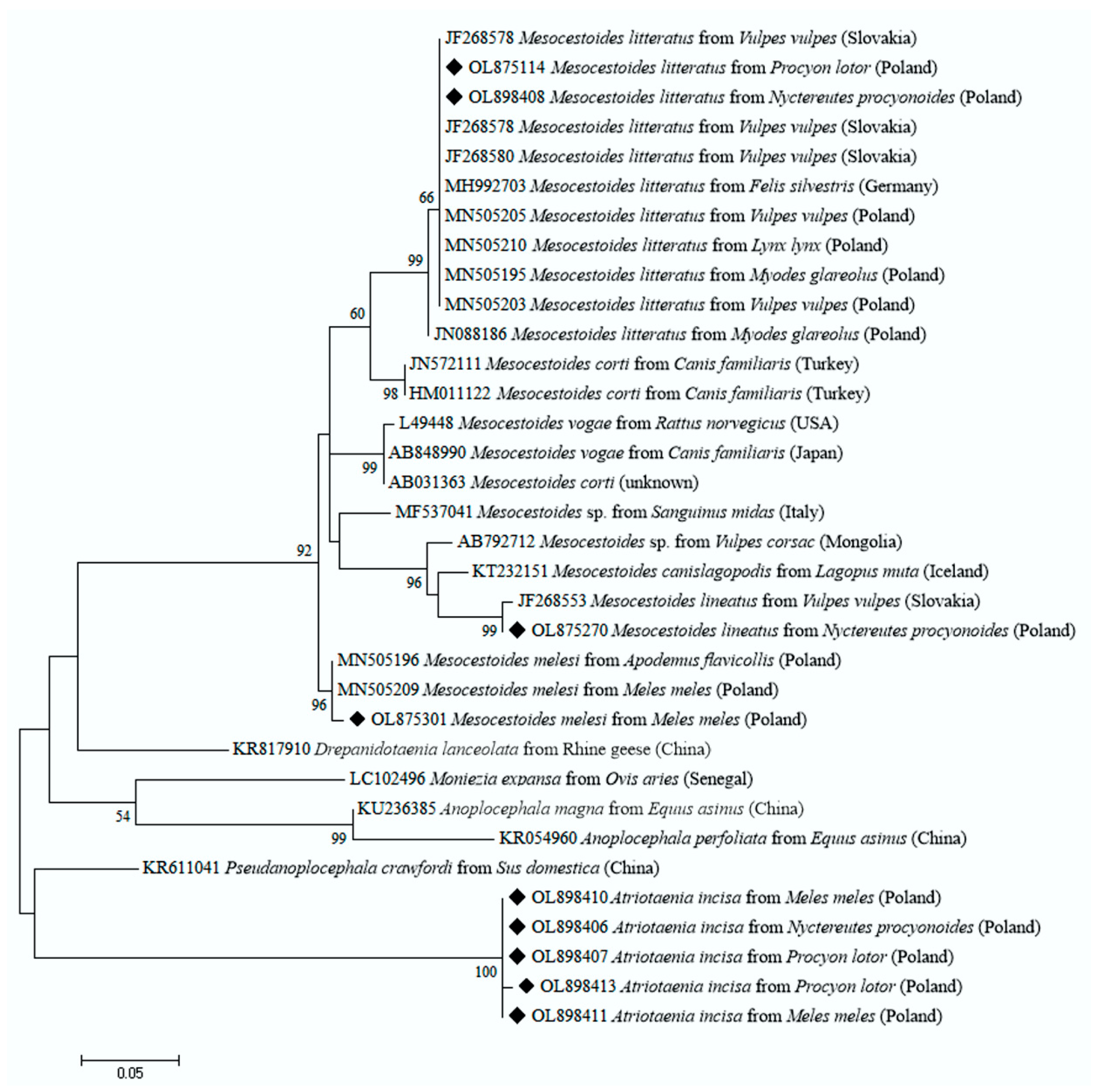 Pathogens 11 00110 g001